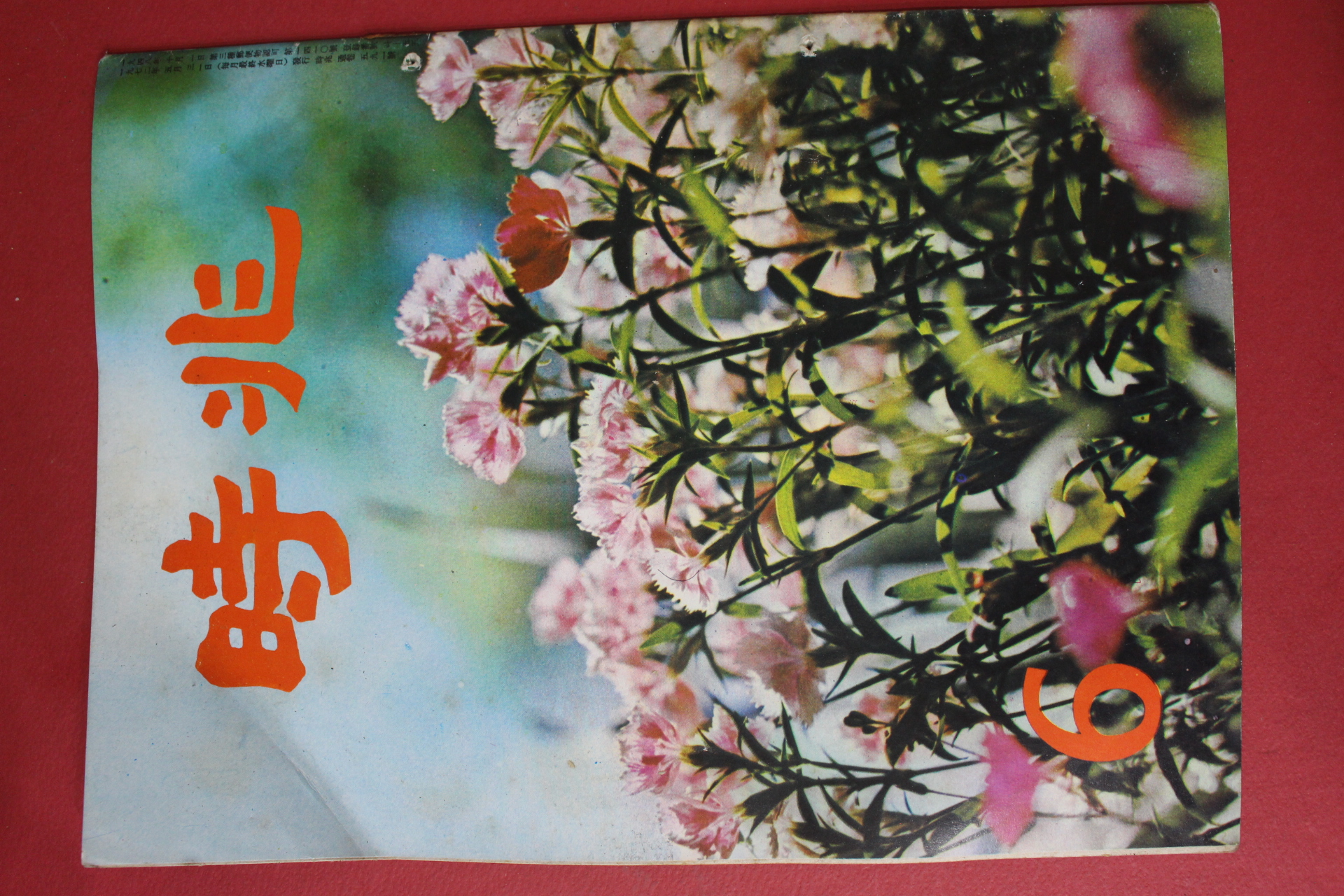 1972년 시조 6월호