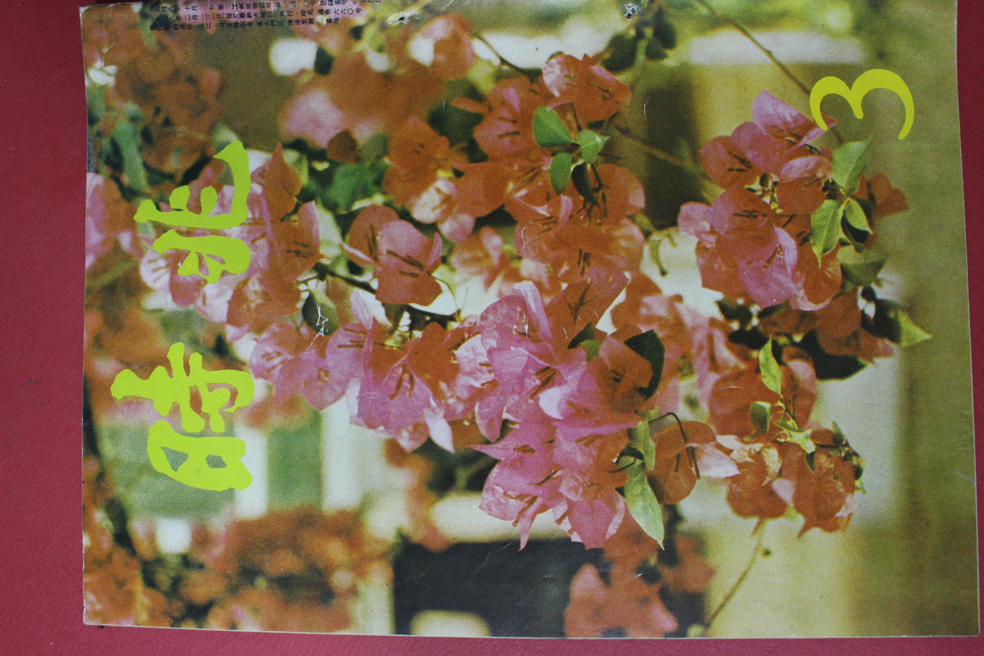 1978년 시조 3월호