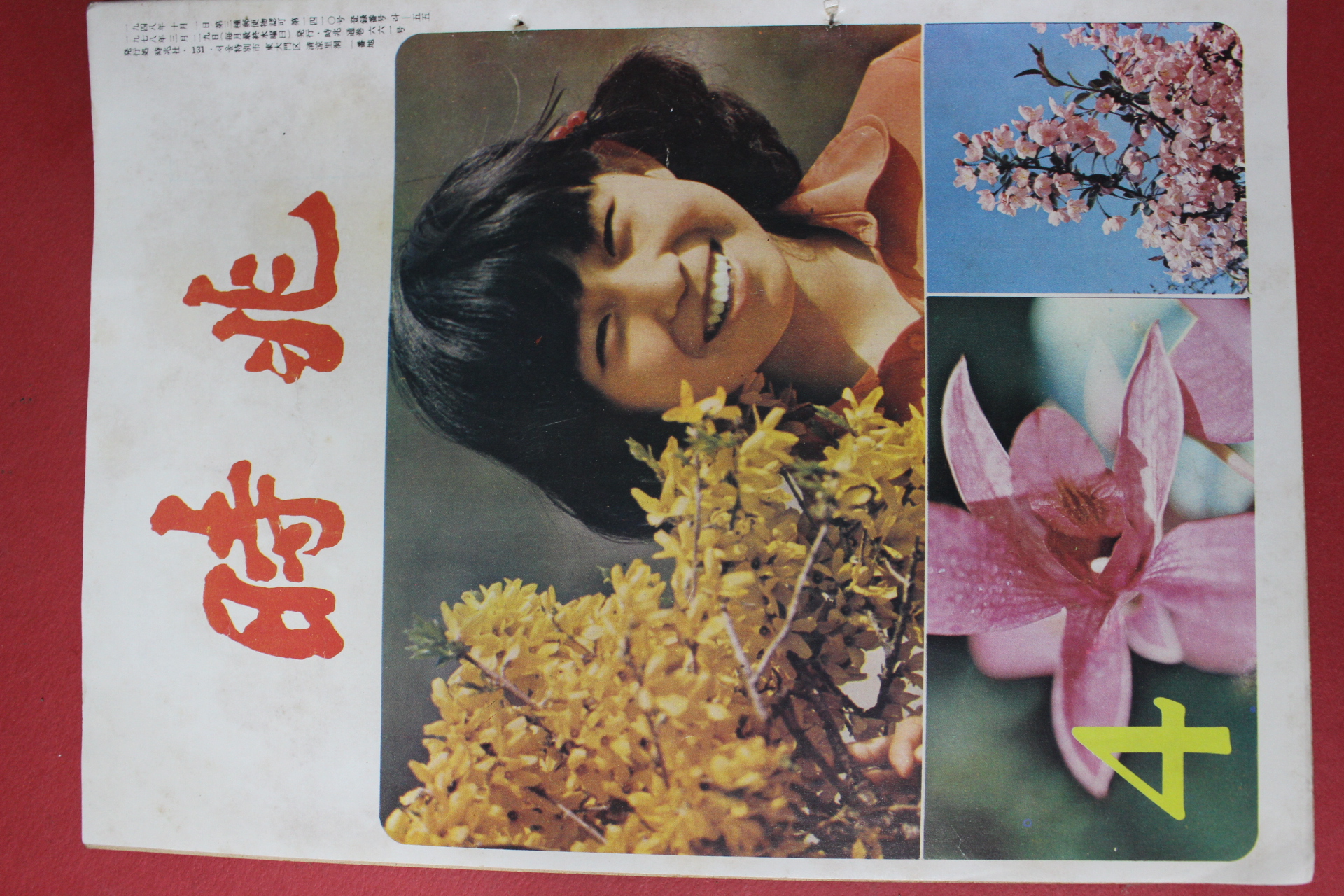 1978년 시조 4월호