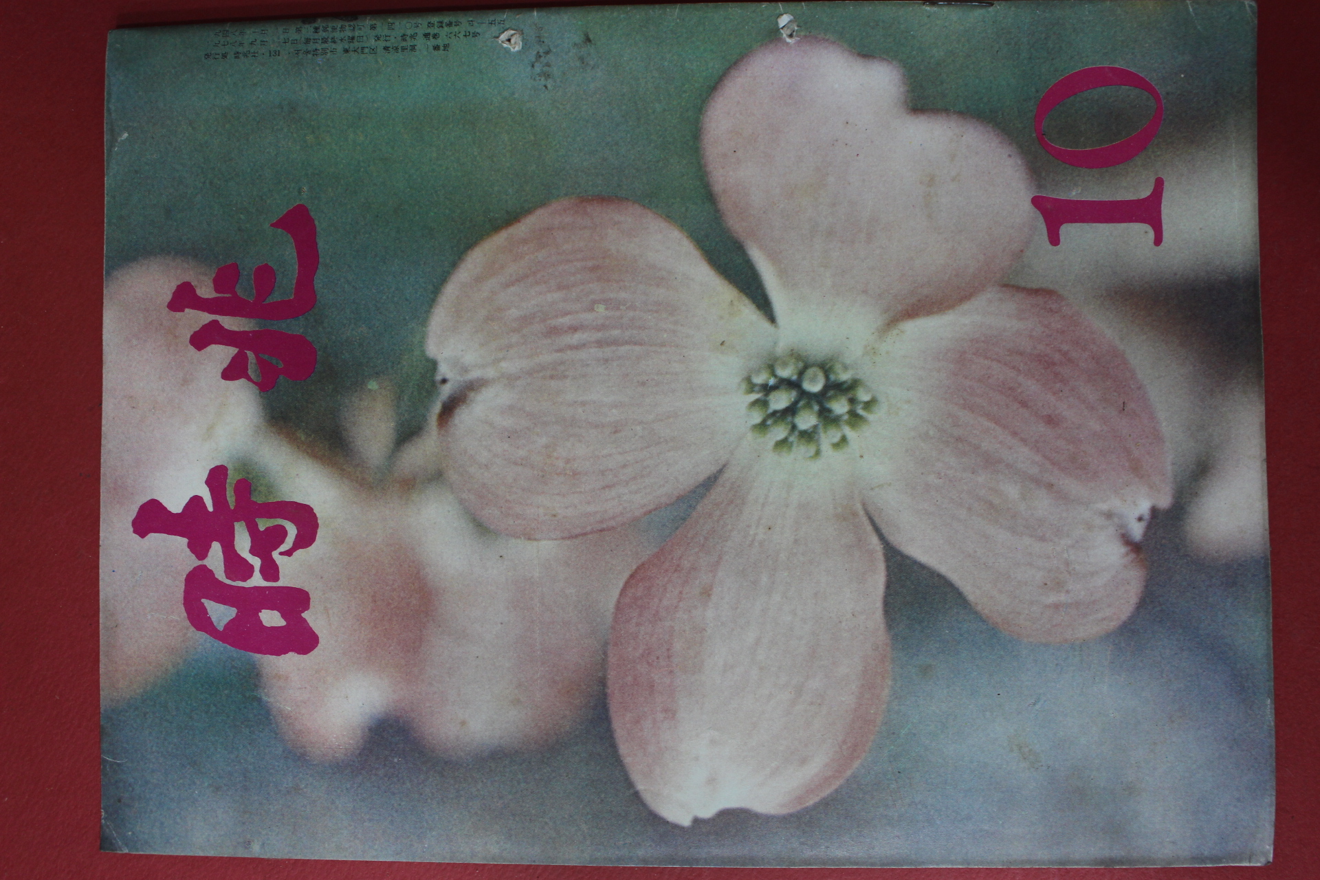 1978년 시조 10월호