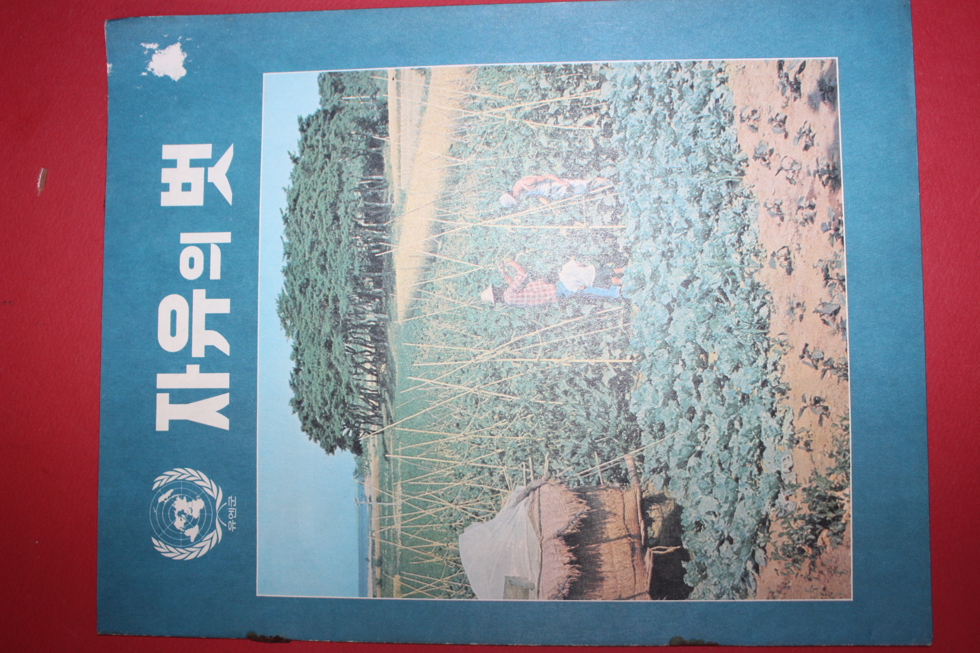 1971년 자유의 벗 7월호