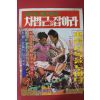1979년 갈색폭격기 차범근을 잡아라