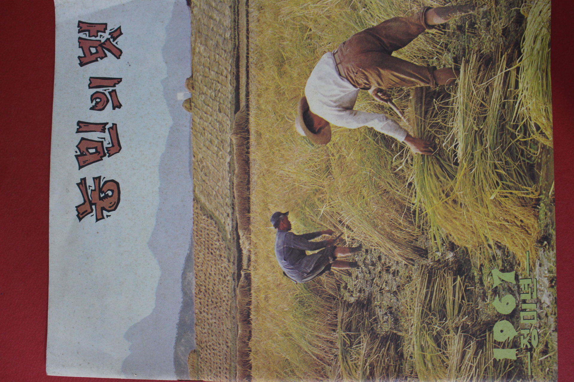 1967년 농민의 벗