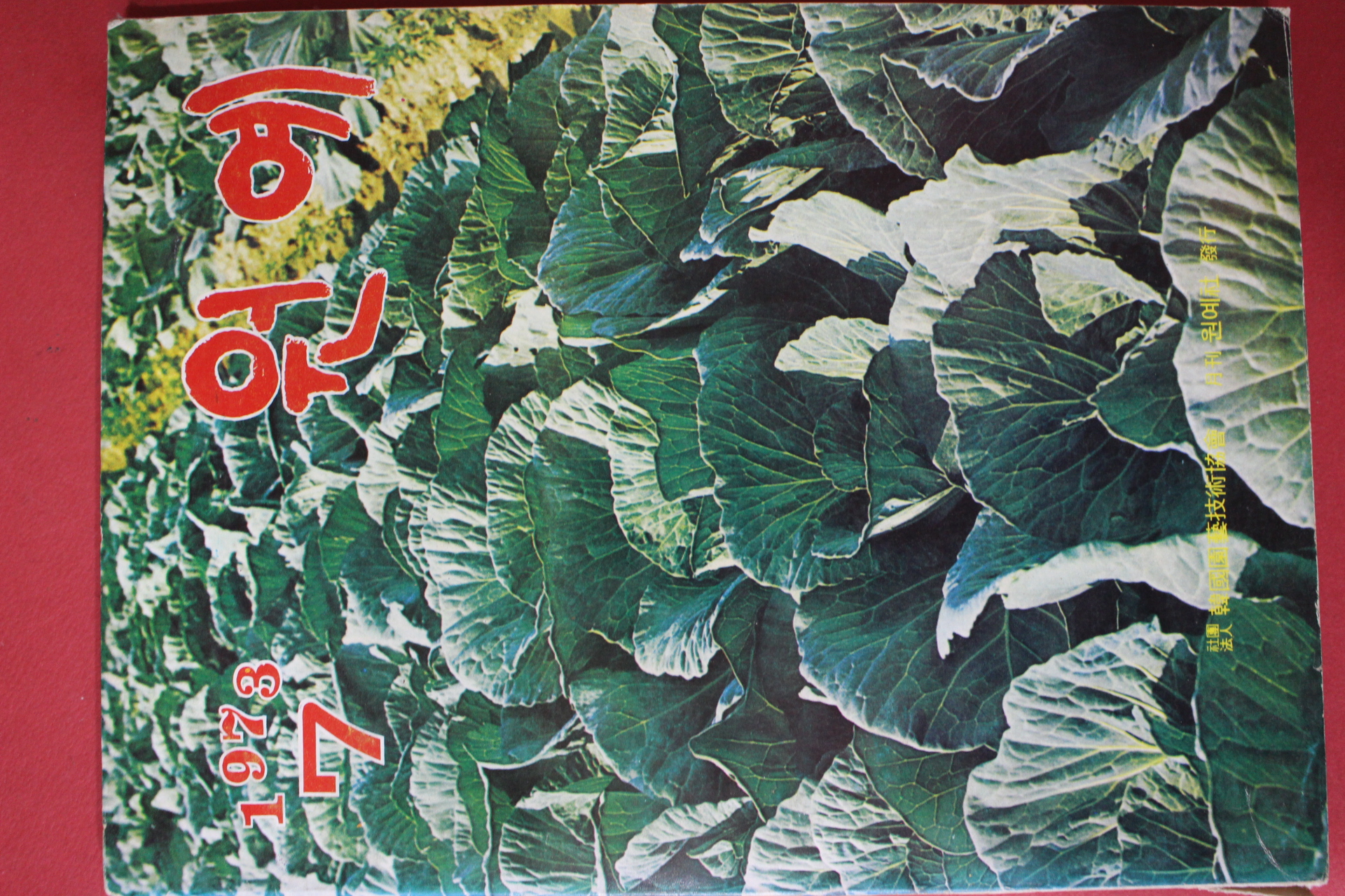 1973년 원예 7월호