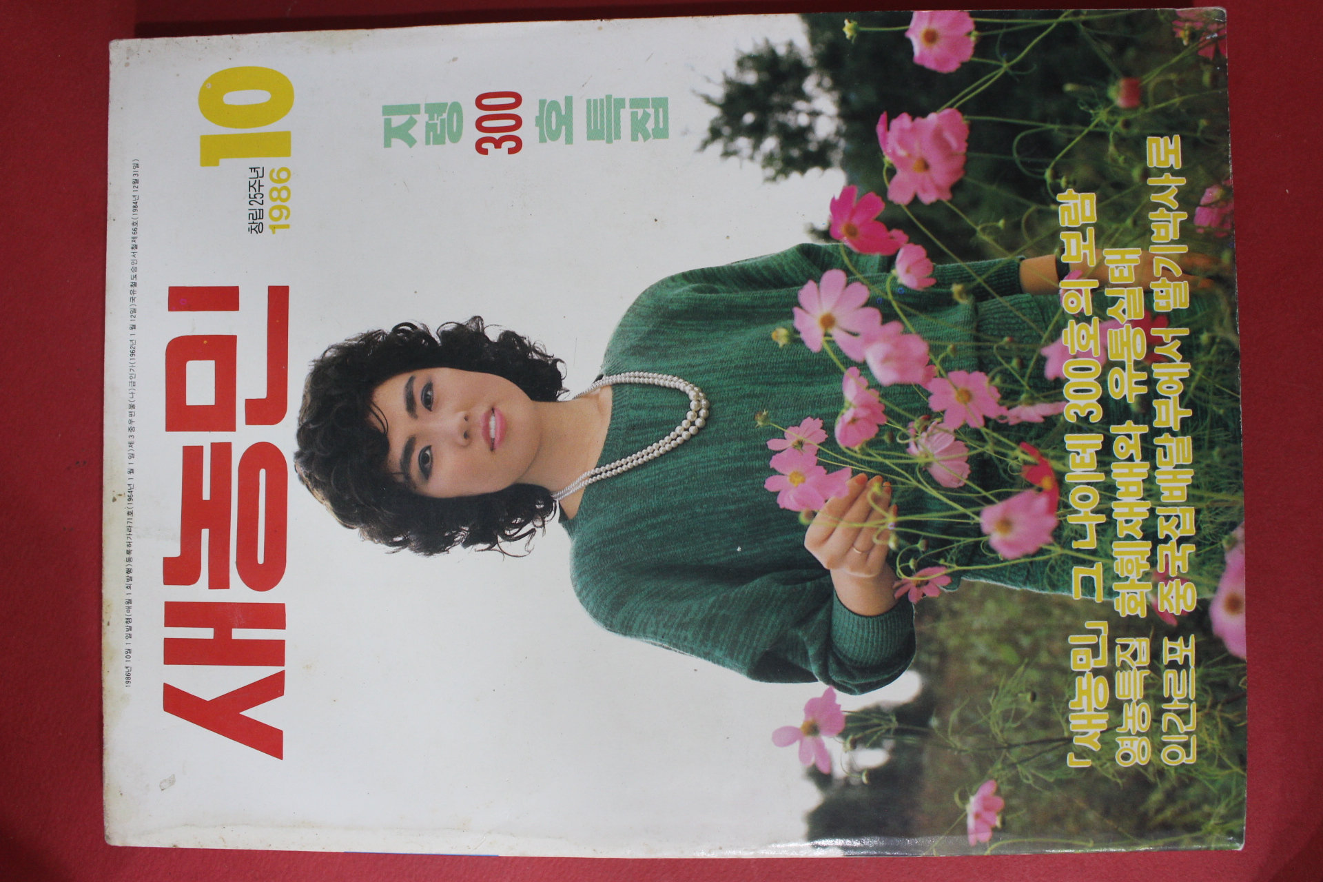 1986년 새농민 10월호