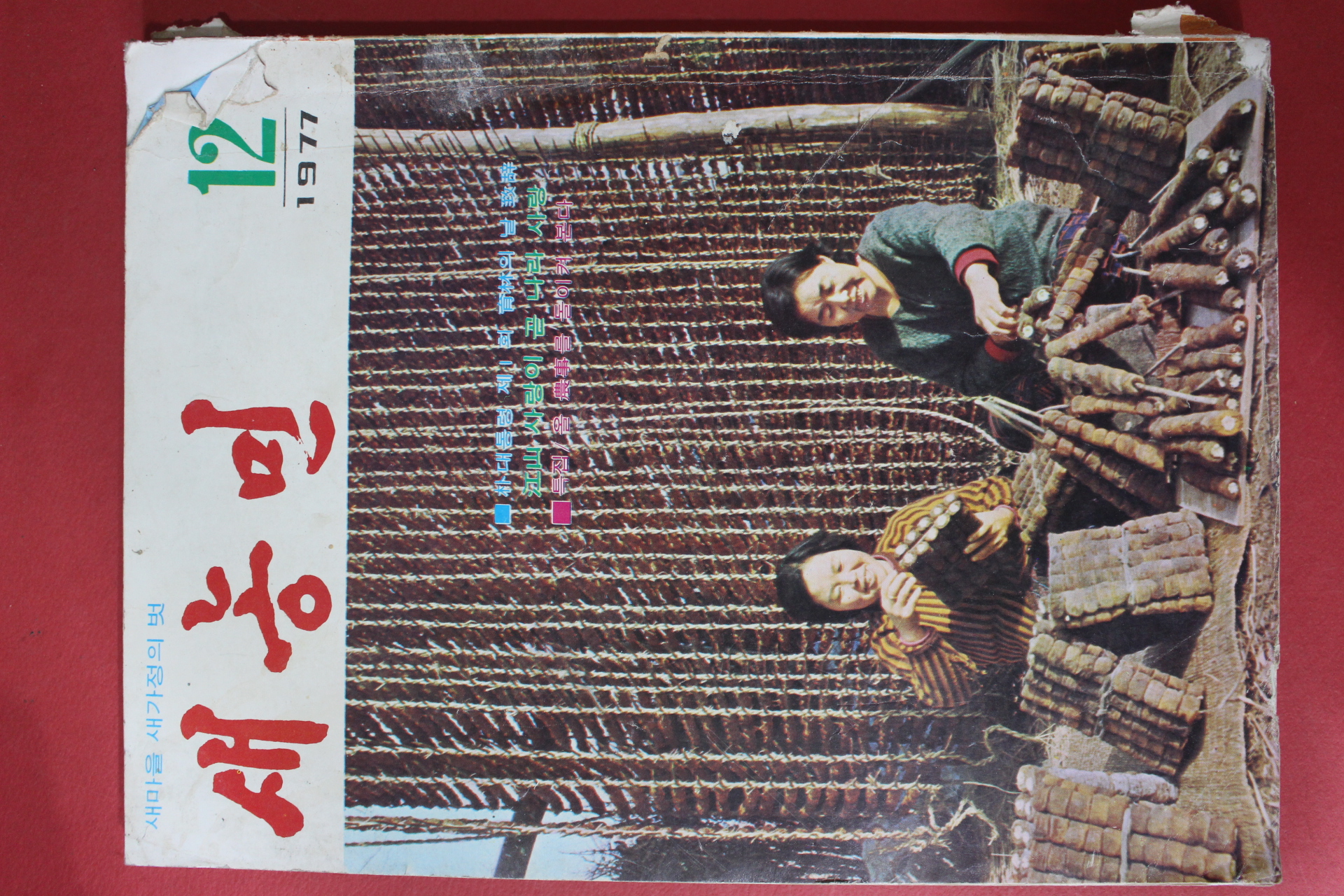 1977년 새농민 12월호
