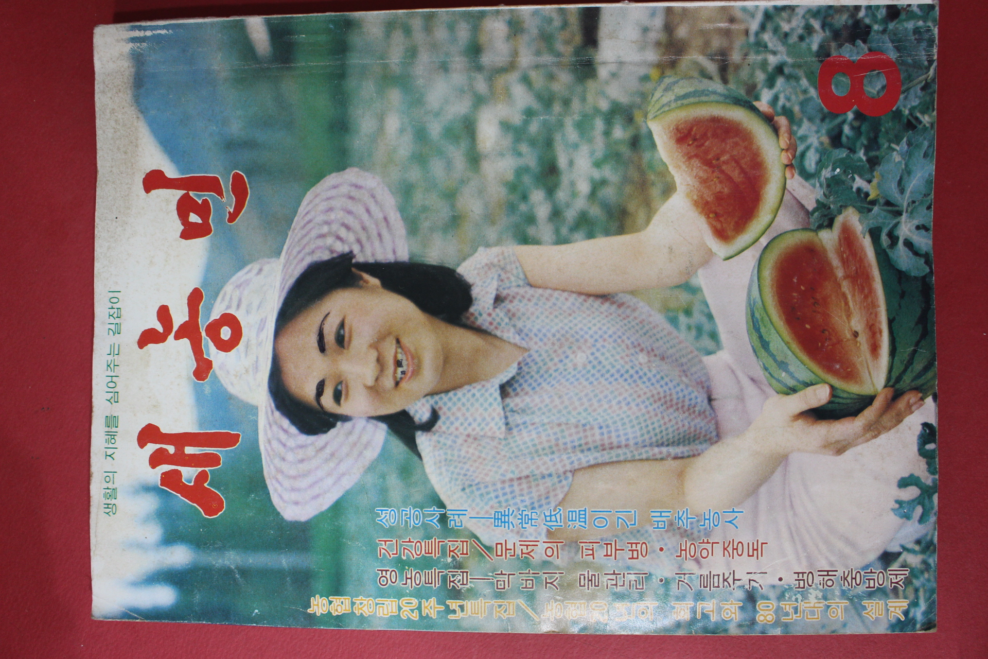 1981년 새농민 8월호