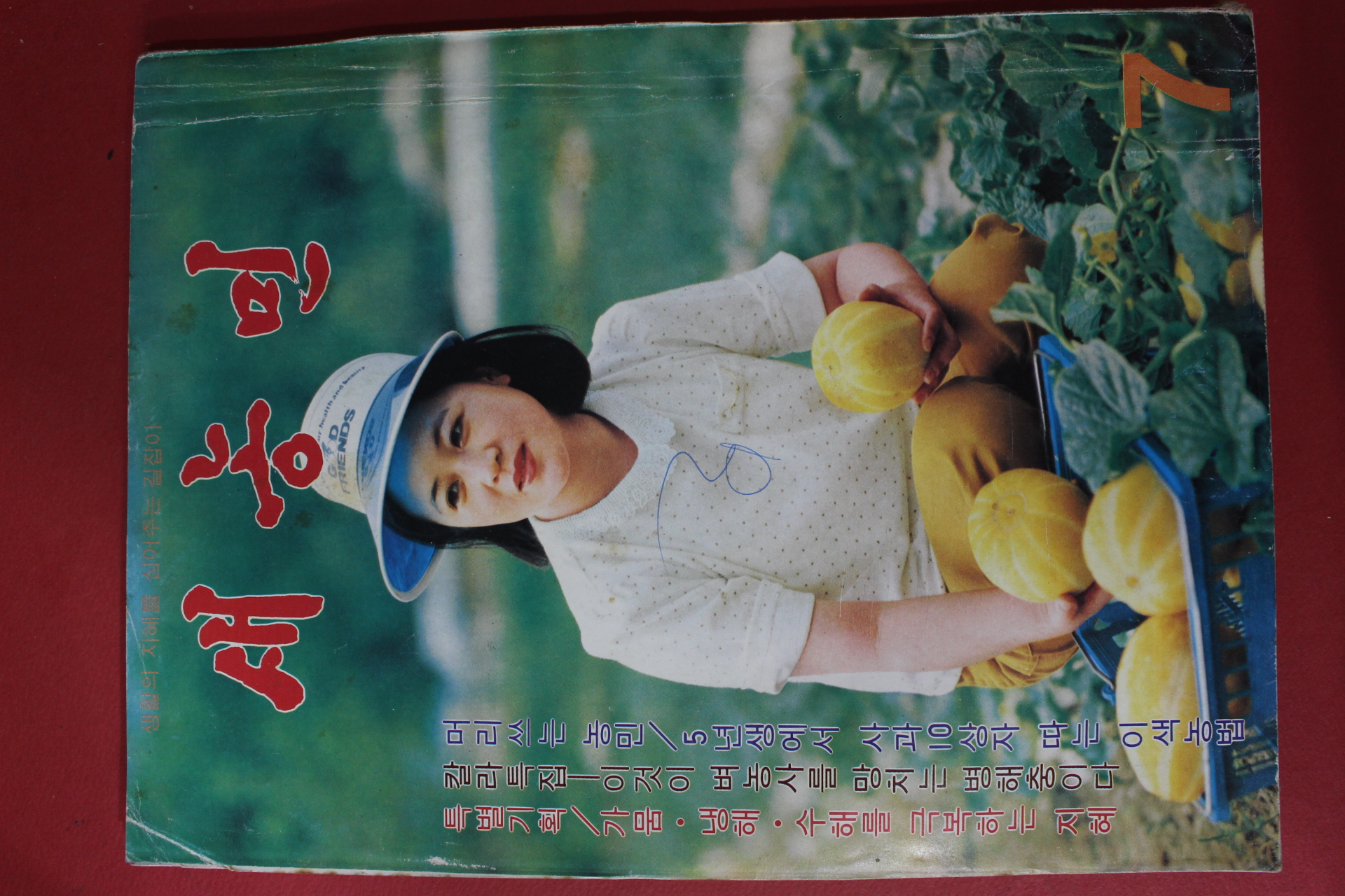1981년 새농민 7월호