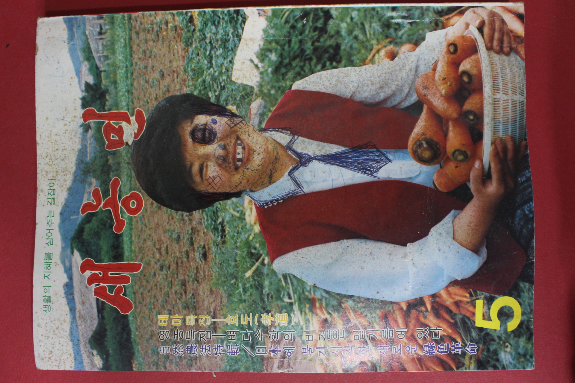 1981년 새농민 5월호