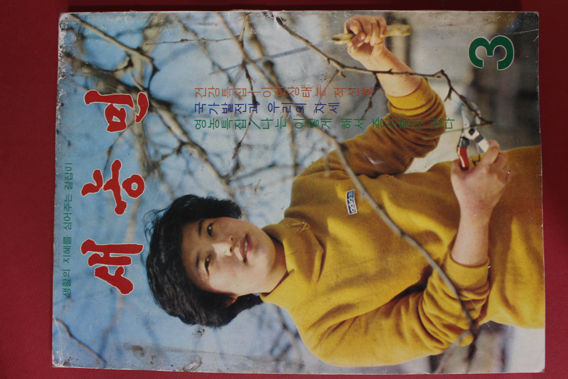 1981년 새농민 3월호