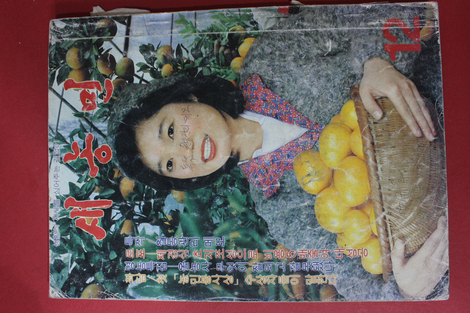 1981년 새농민 12월호