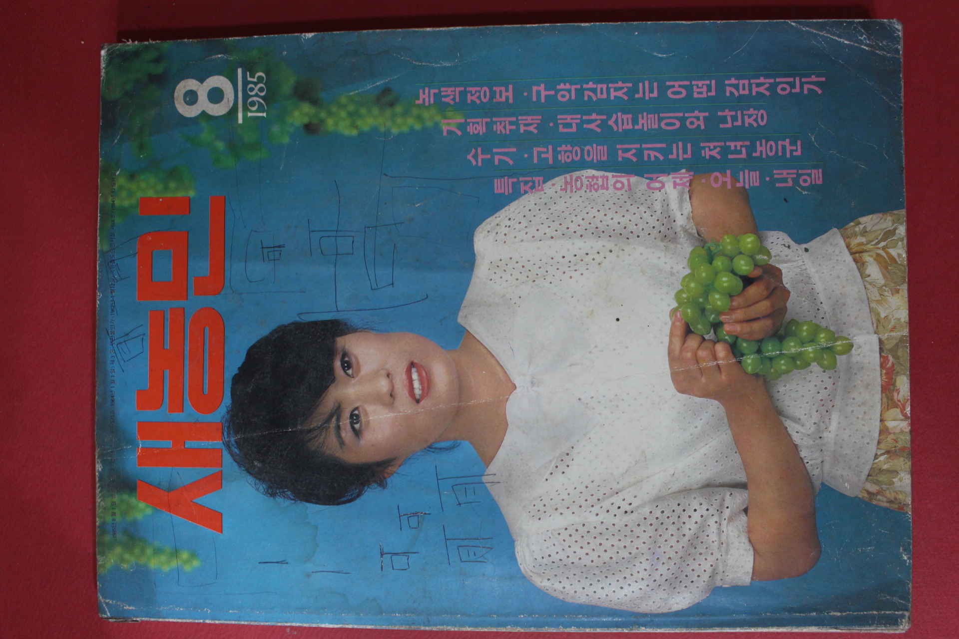 1985년 새농민 8월호