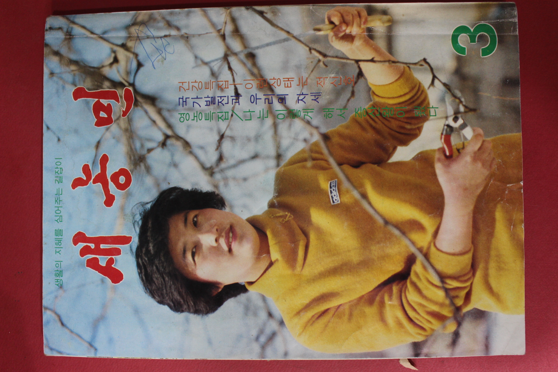 1981년 새농민 3월호