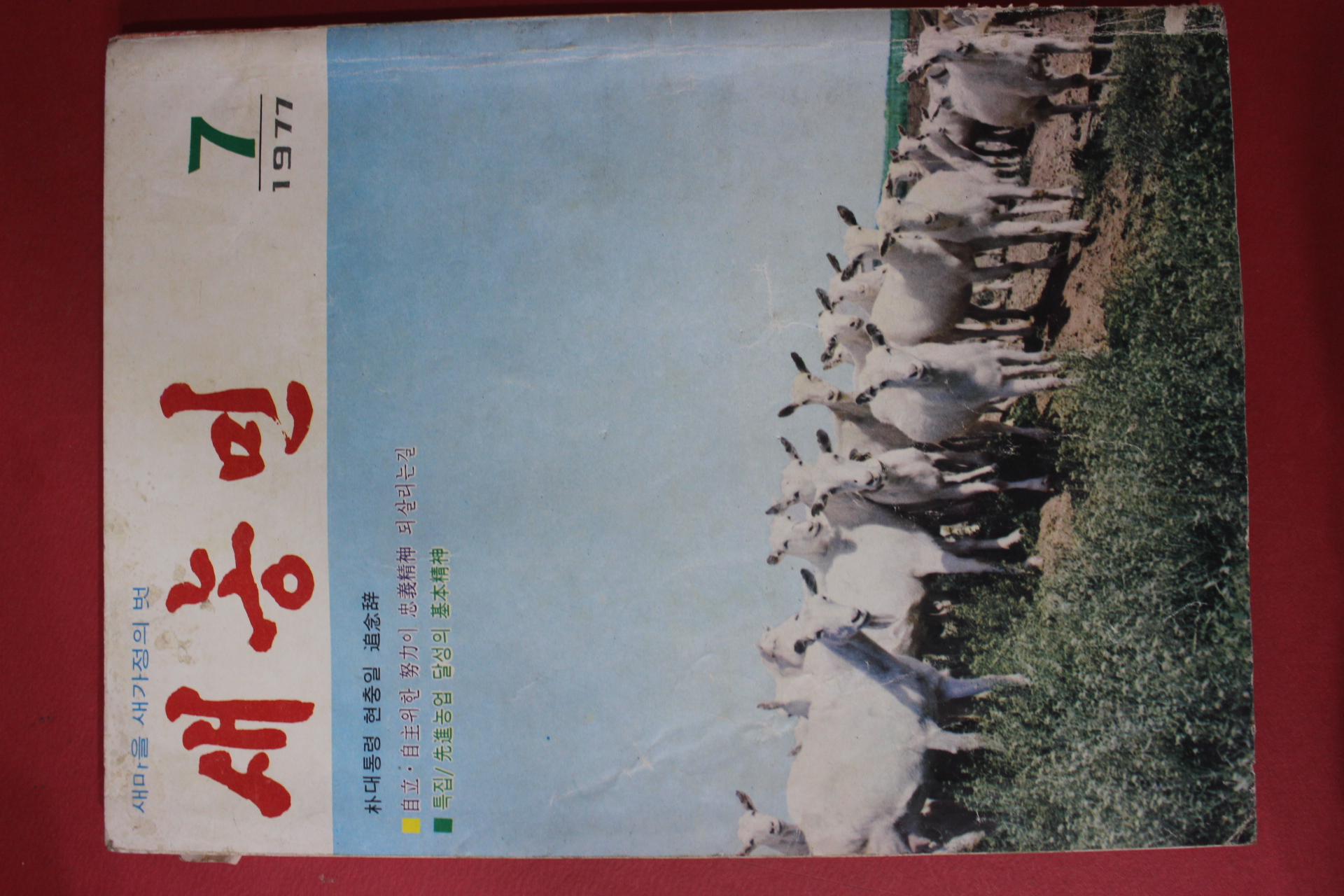 1977년 새농민 7월호