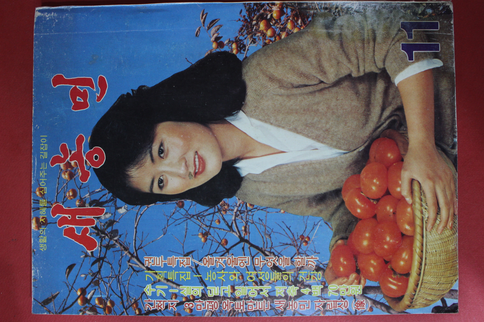 1981년 새농민 11월호