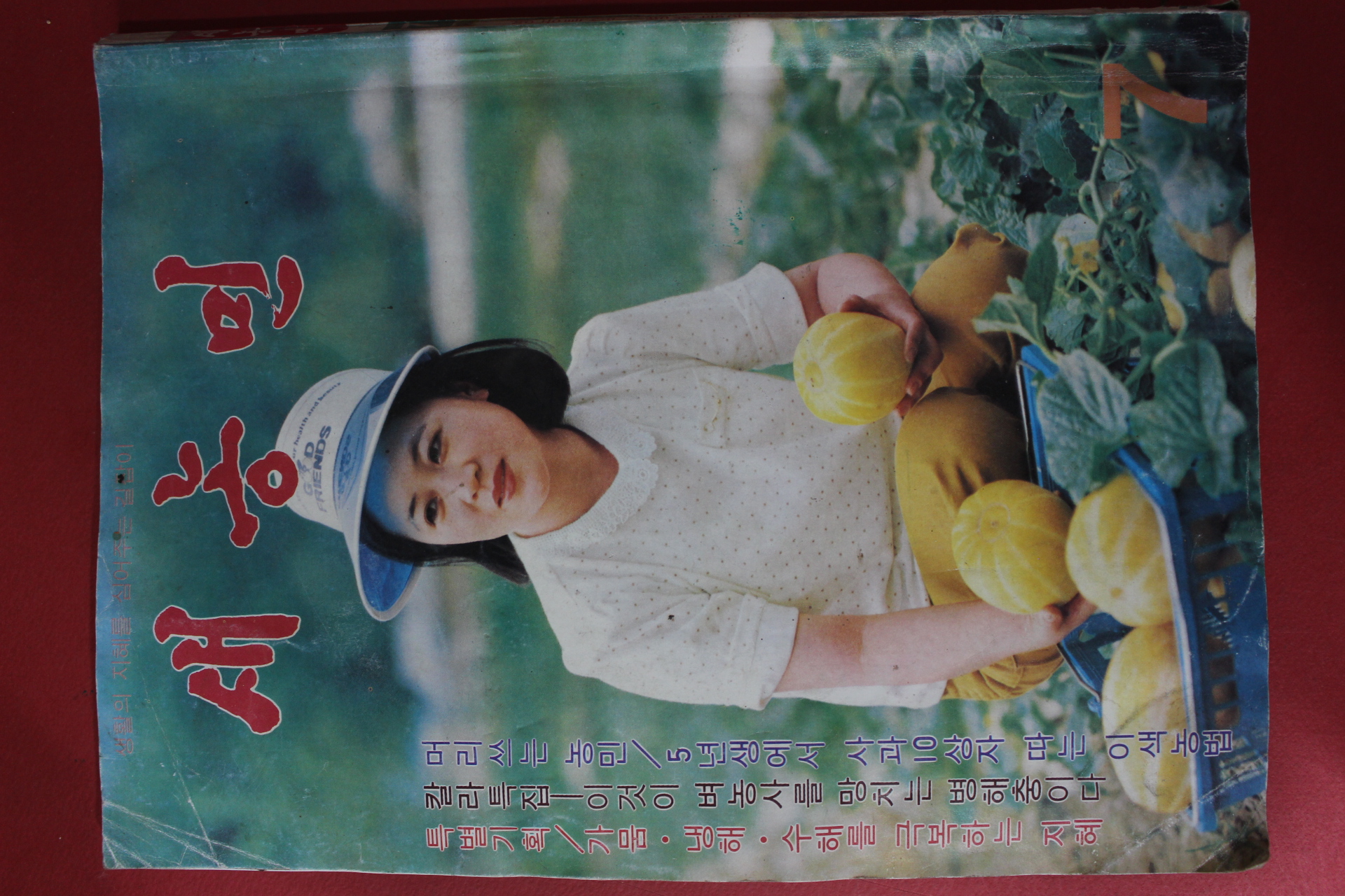 1981년 새농민 7월호