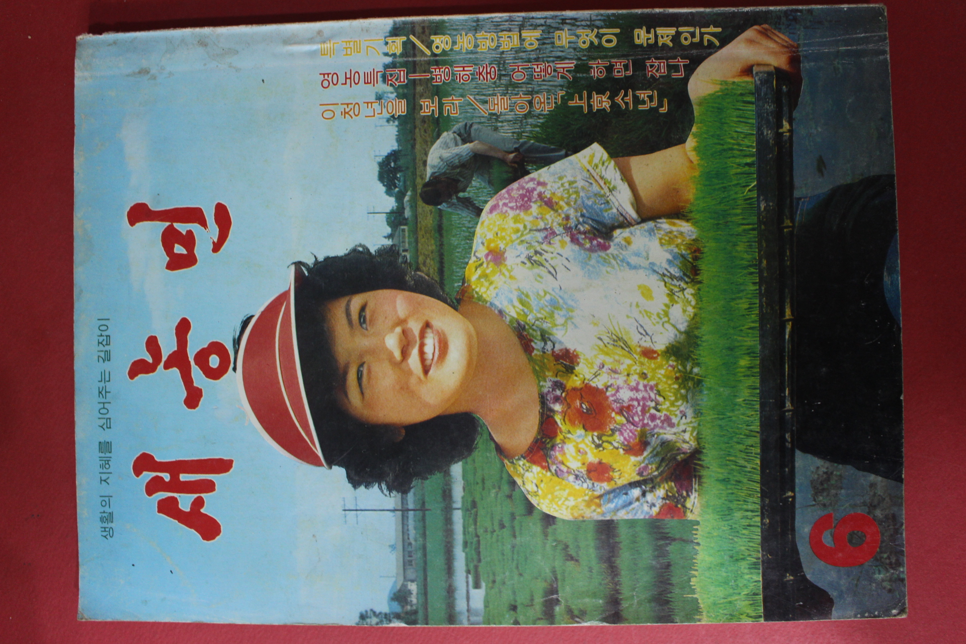 1980년 새농민 6월호