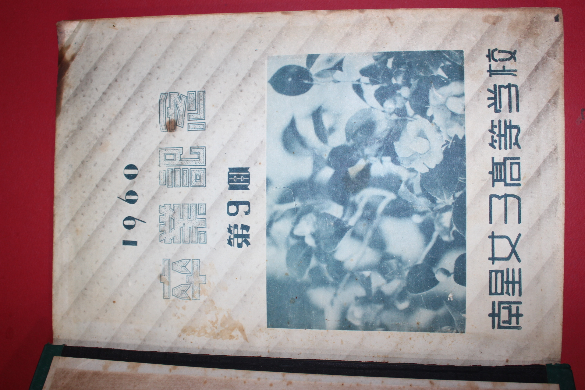 1960년 남성여자고등학교 제9회 졸업기념