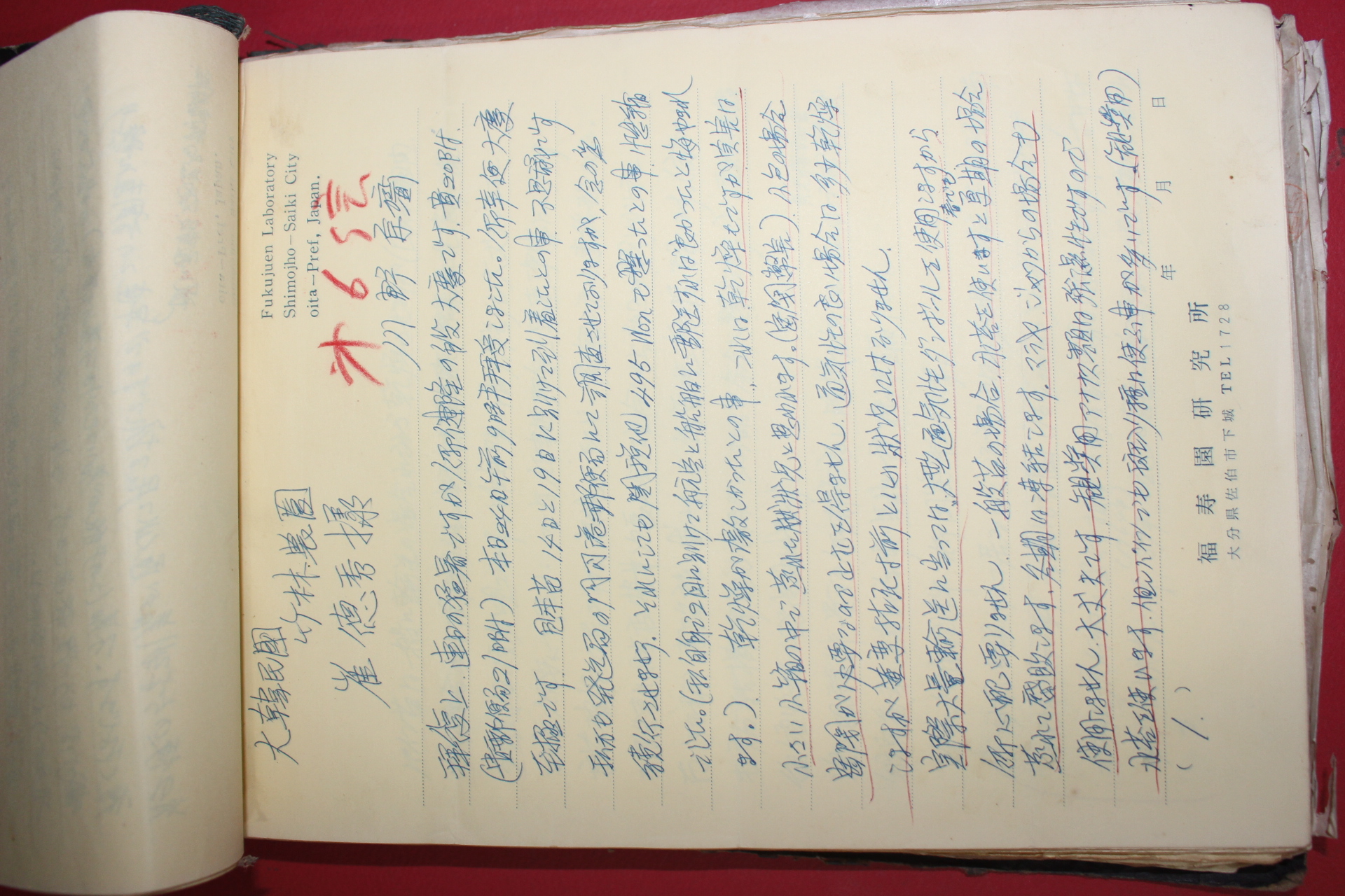 1968년 죽림농장 최덕수(崔德秀)관련 필사 100여장