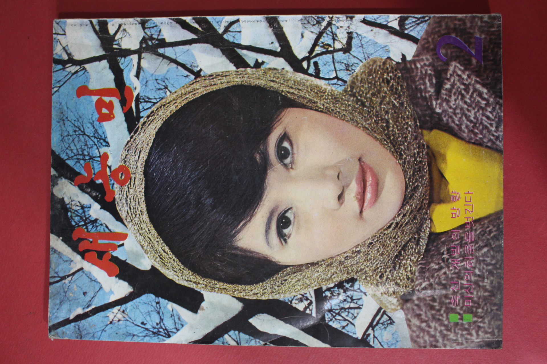 1971년 새농민 2월호