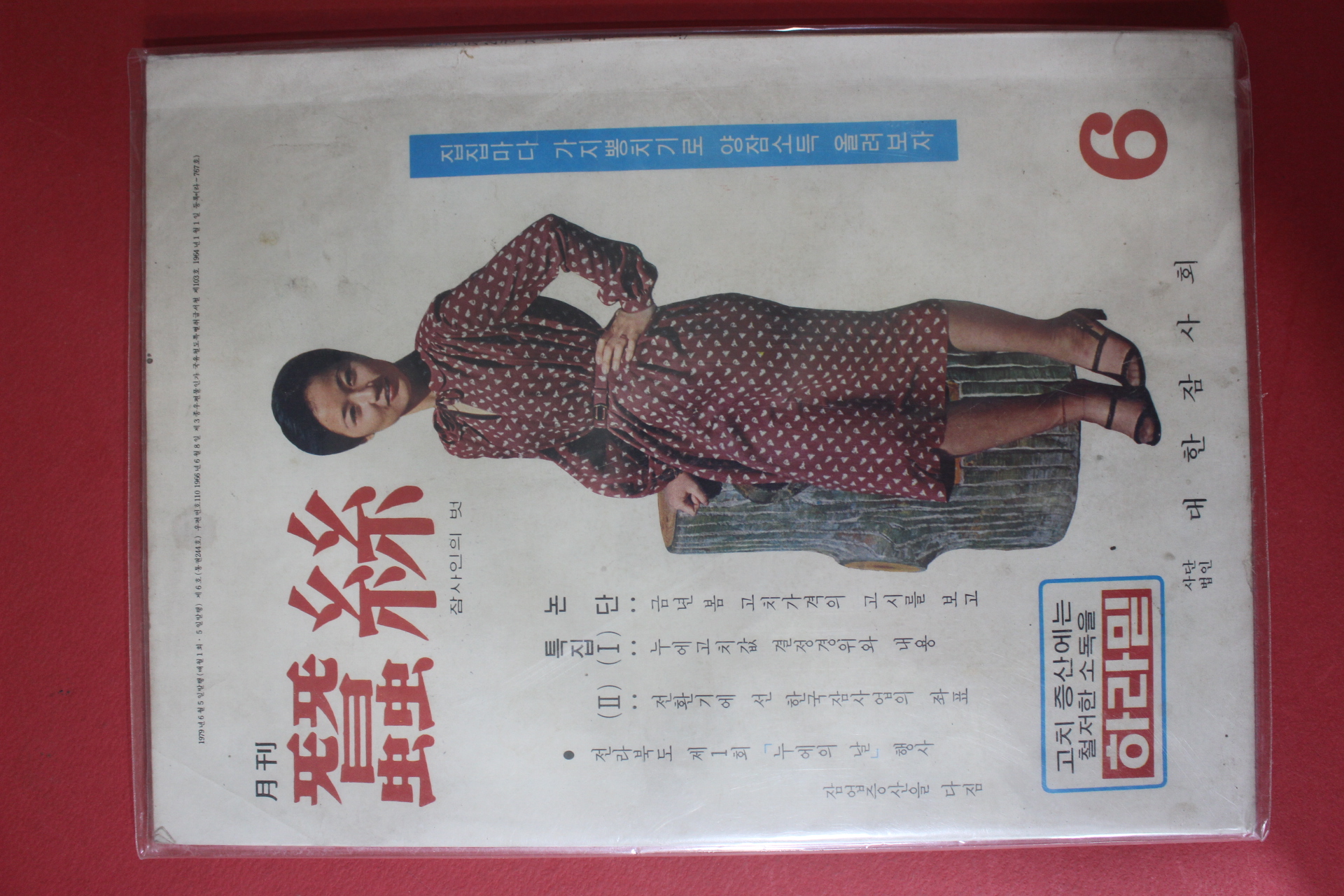 1979년 월간 잠사 6월호