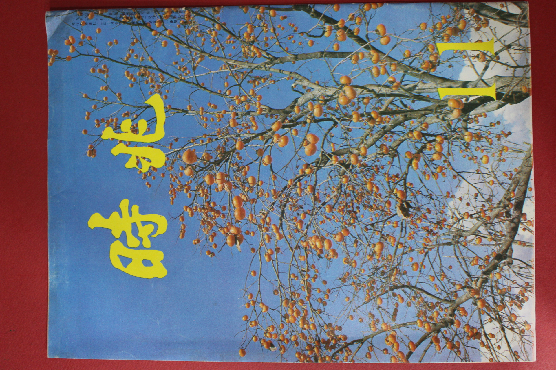 1981년 시조 11월호