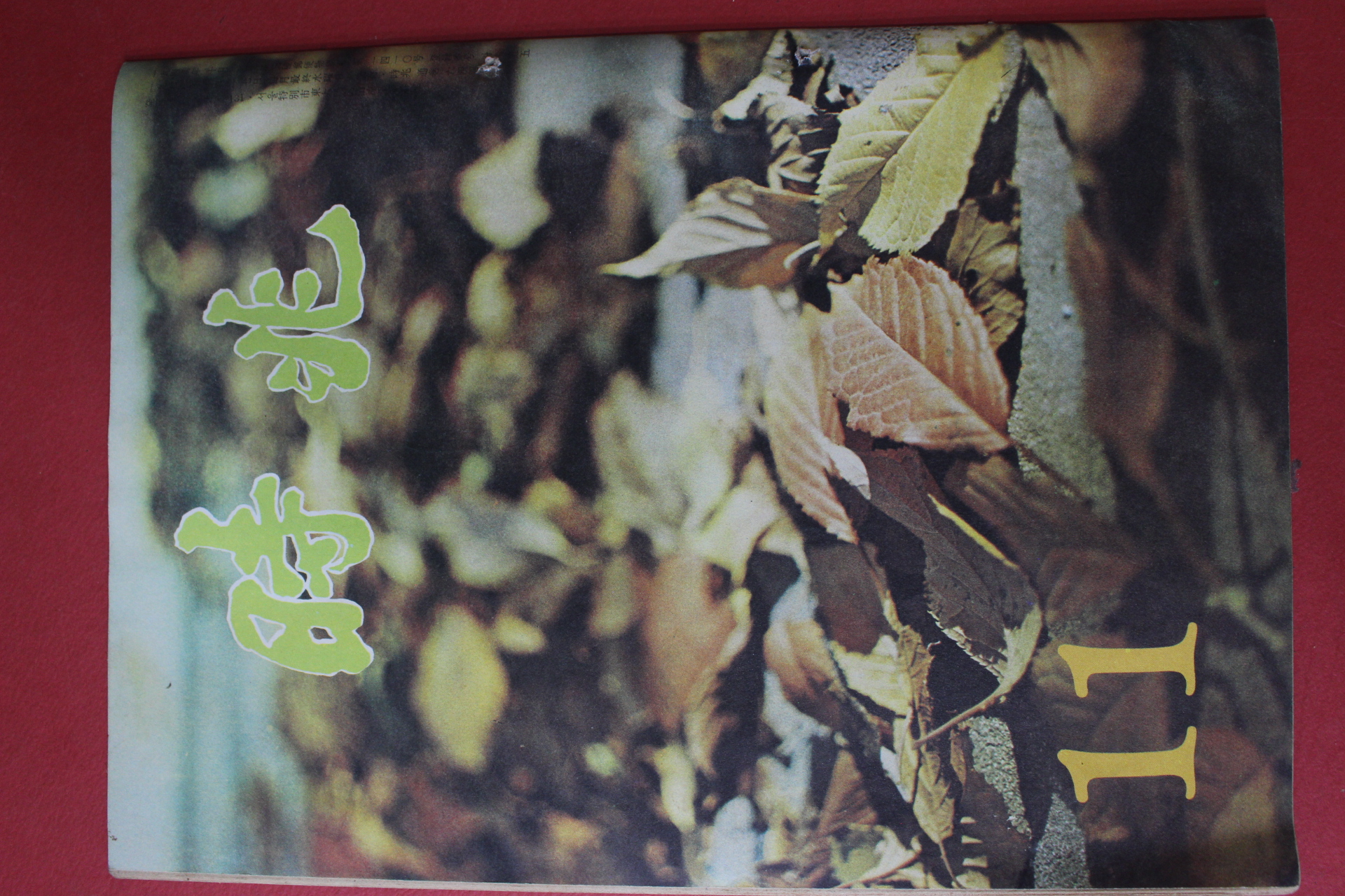 1976년 시조 11월호