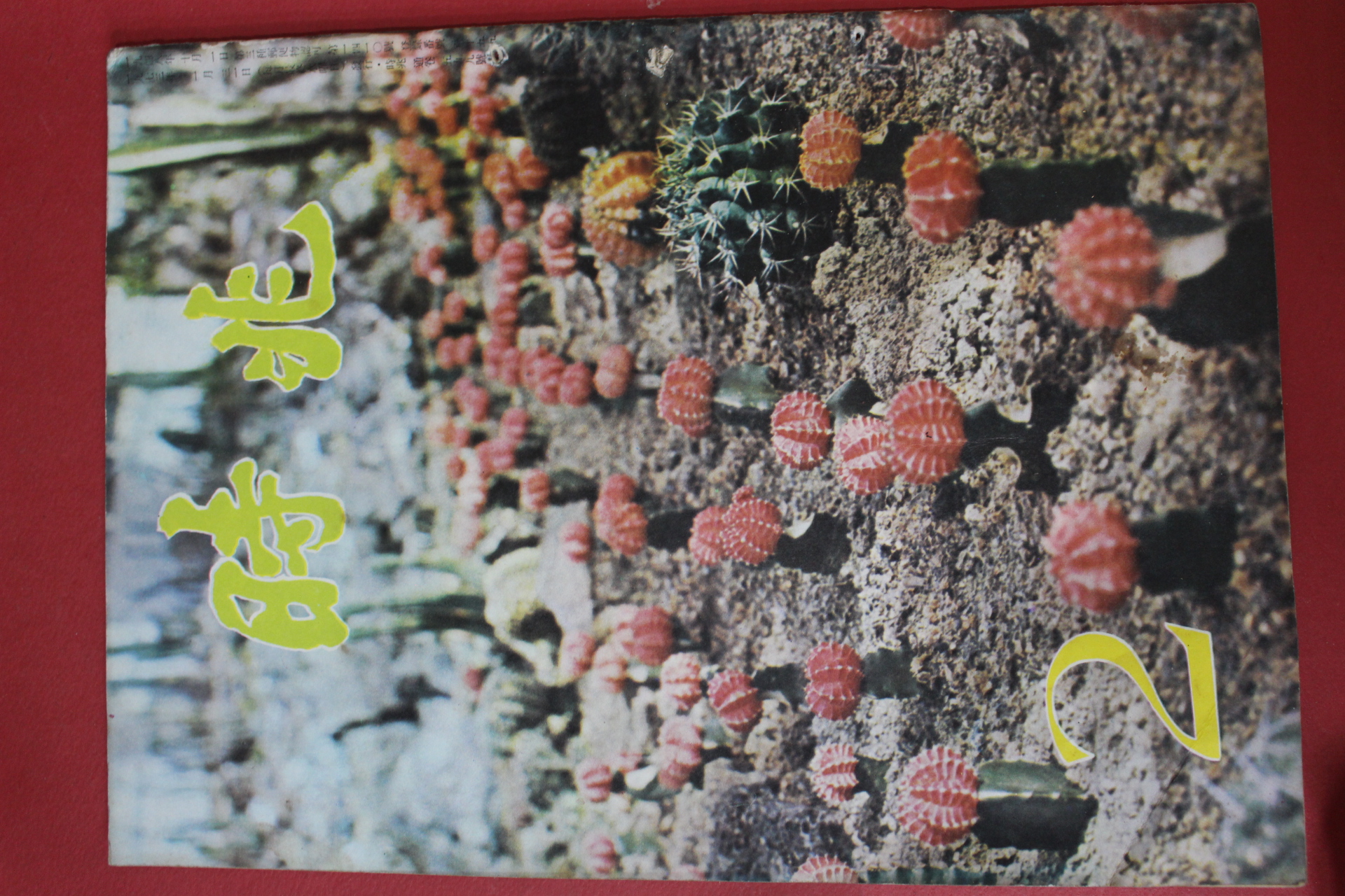 1973년 시조 2월호