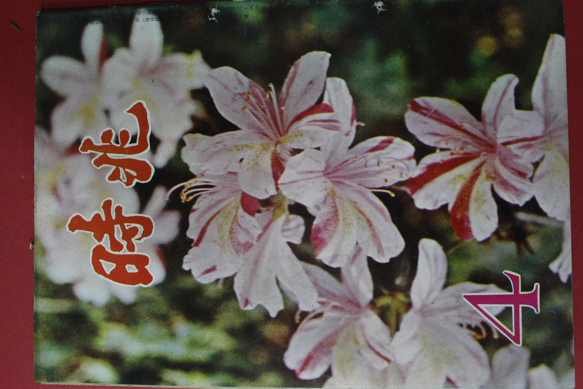 1973년 시조 4월호