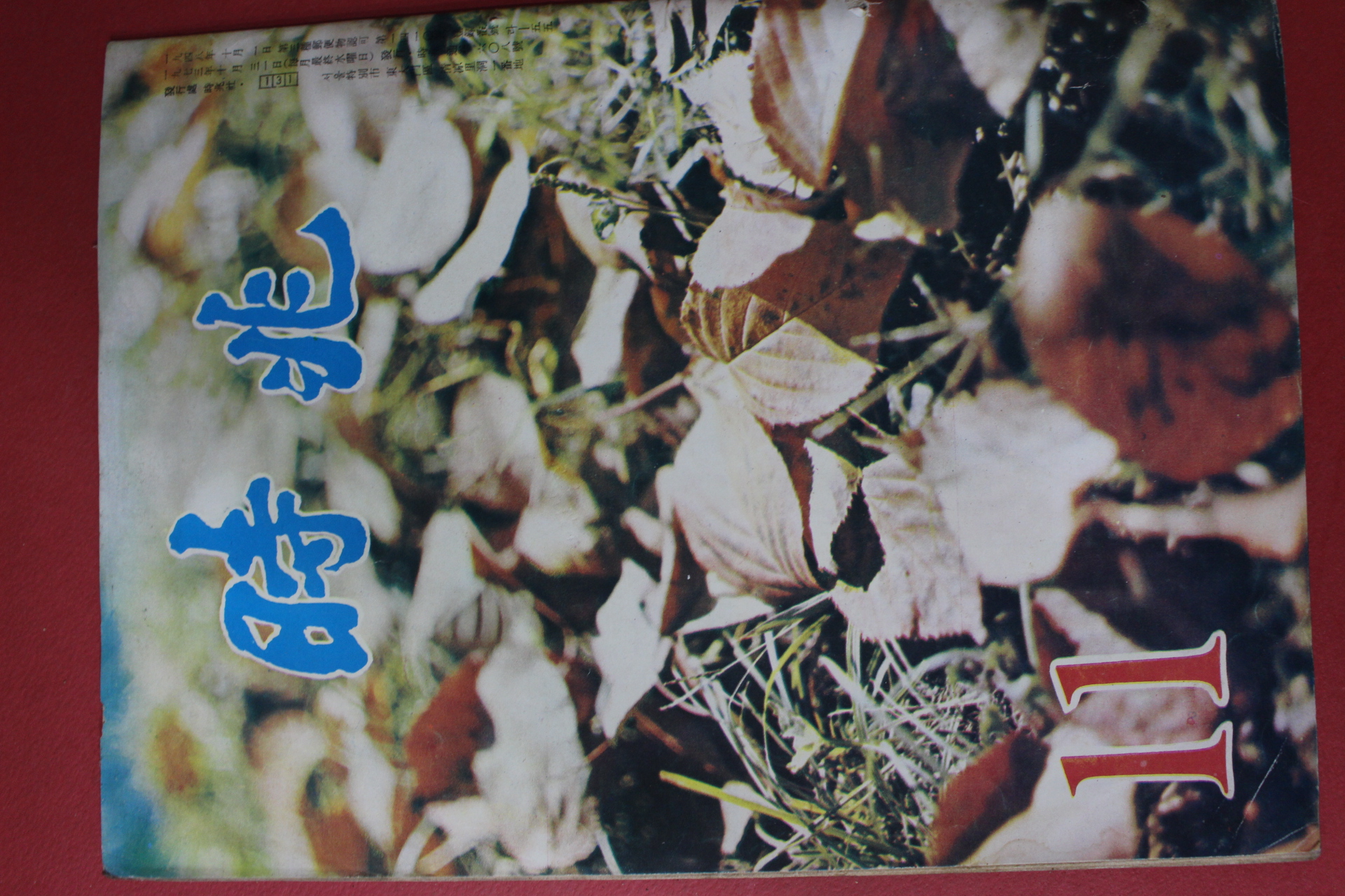 1973년 시조 11월호