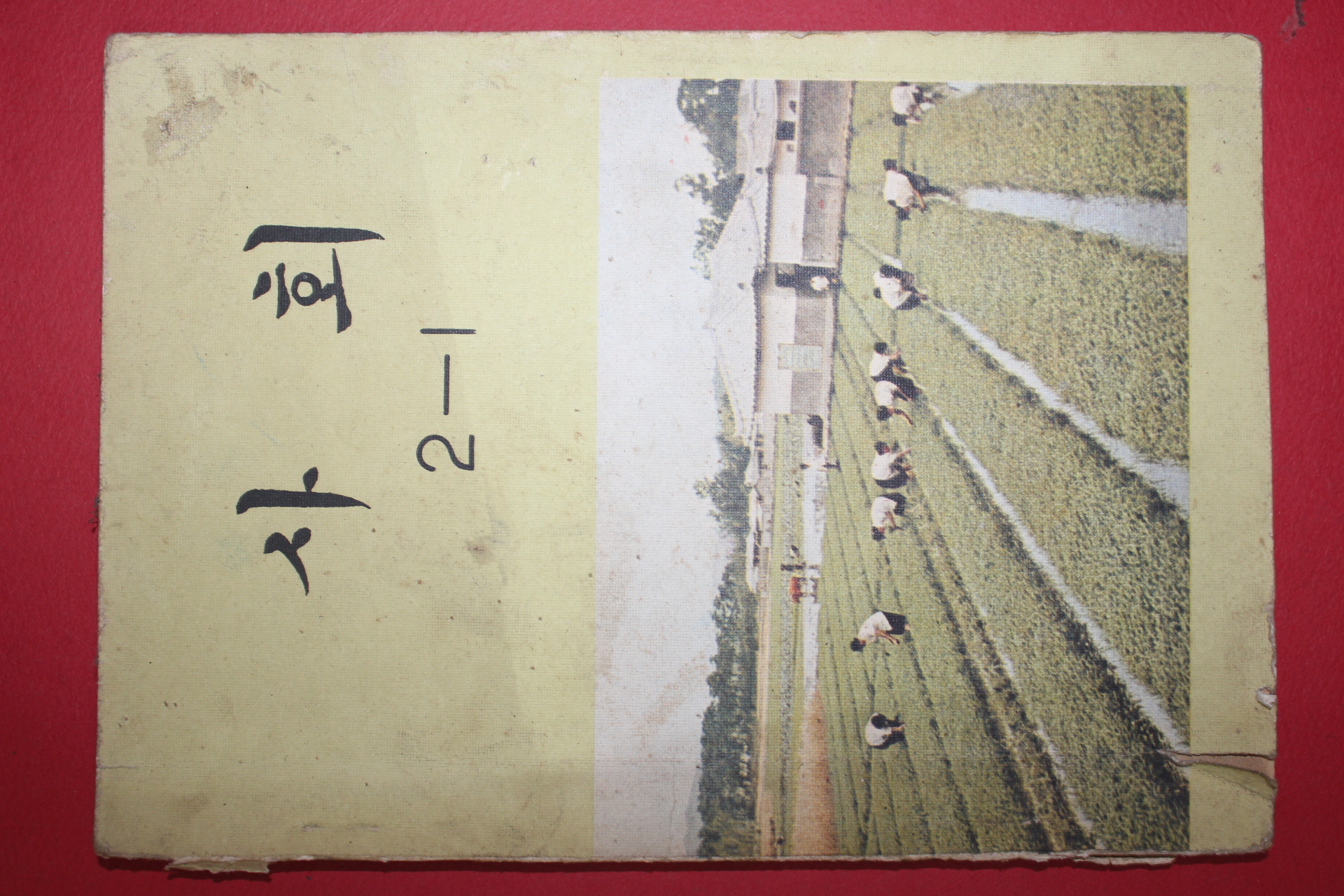 1975년 사회 2-1