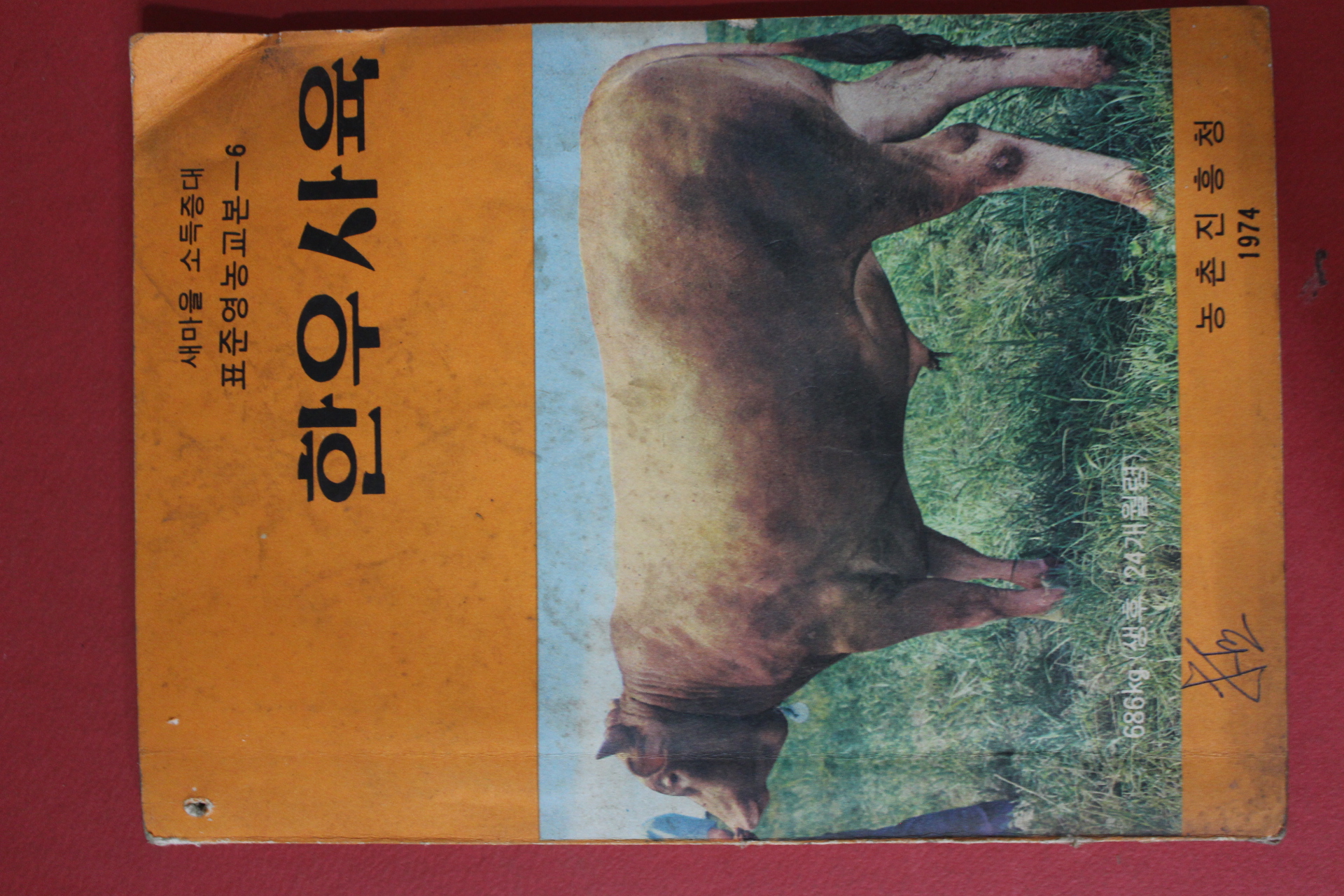 1974년 농촌진흥청 한우사육