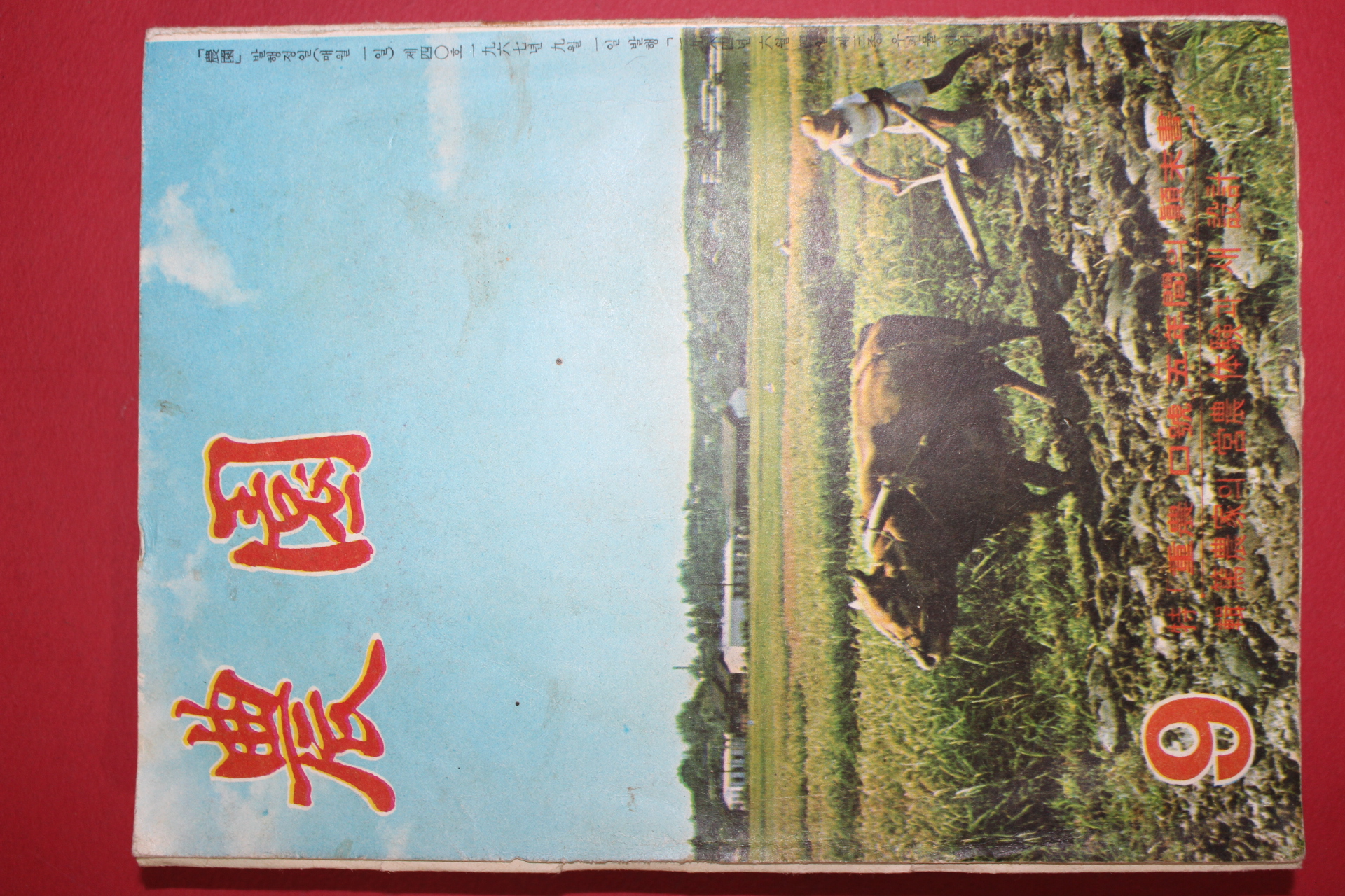 1967년 농원(農園) 9월호