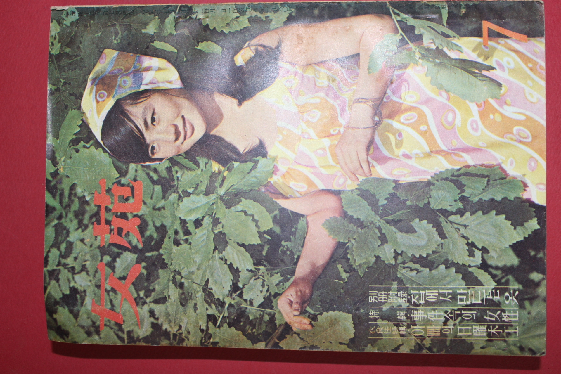 1966년 여원 7월호