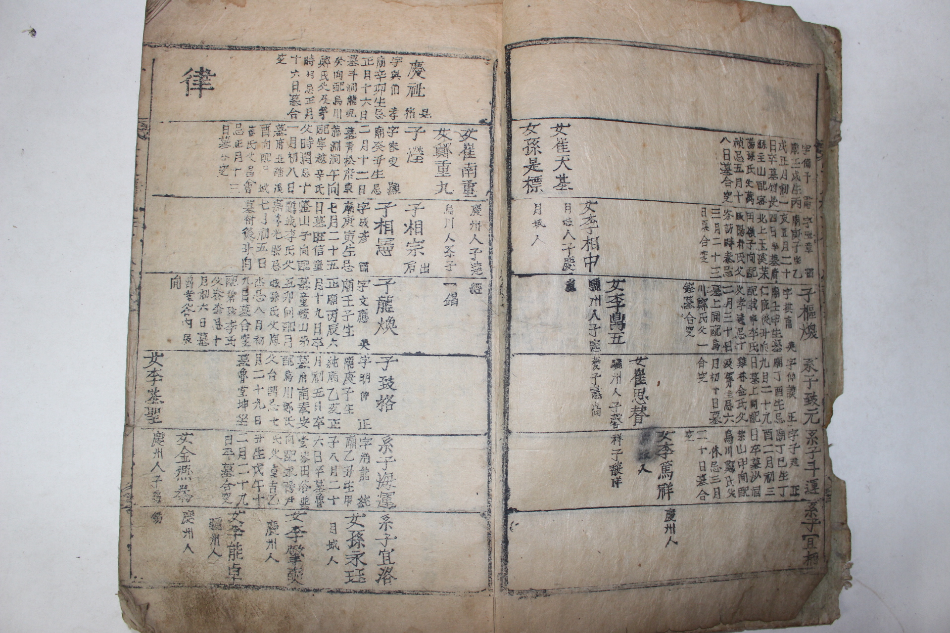 1700년대 목활자본 안동권씨좌윤파보(安東權氏佐尹派譜)권1  1책