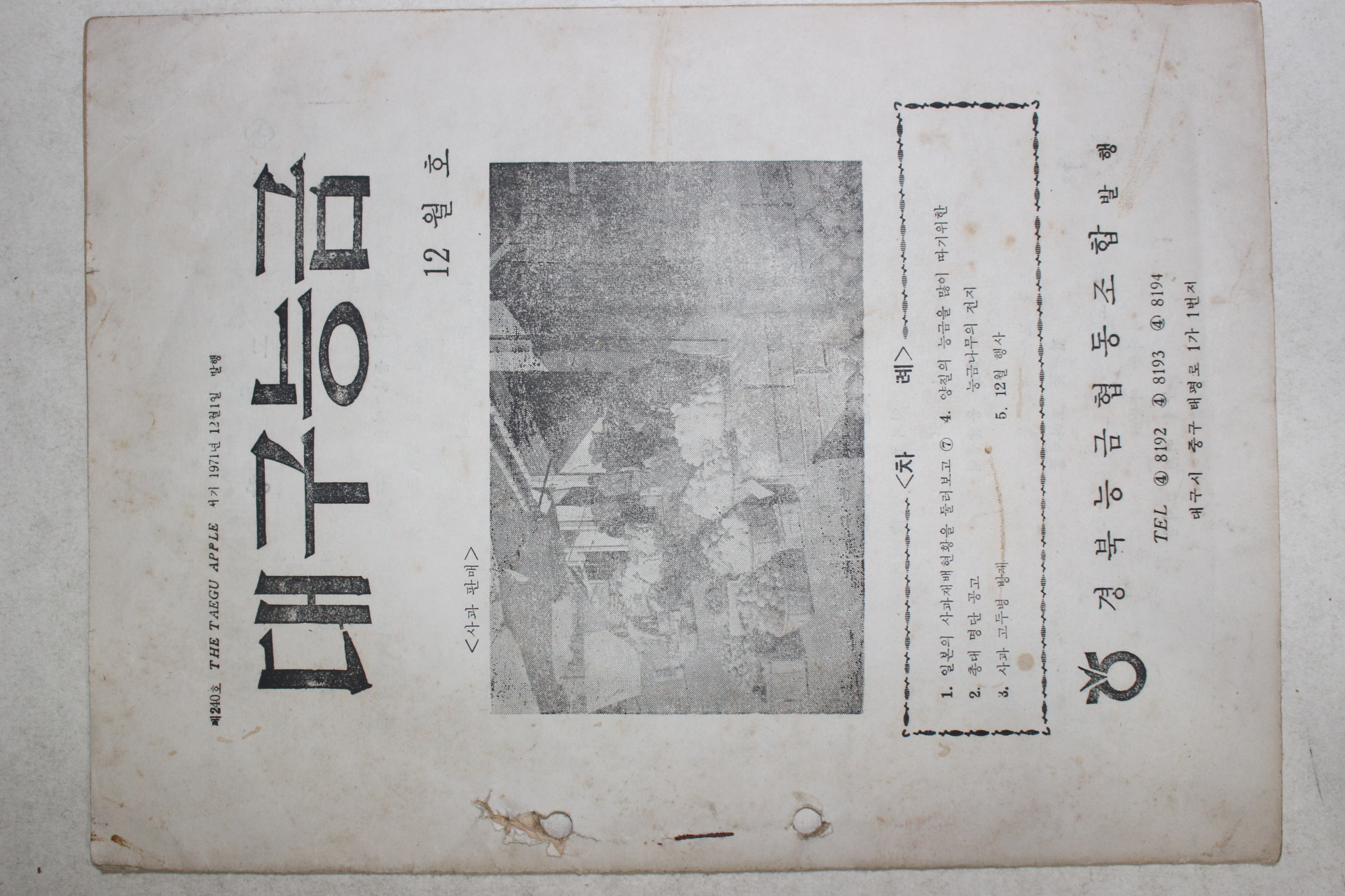 1971년 경북능금협동조합 대구능금 12월호