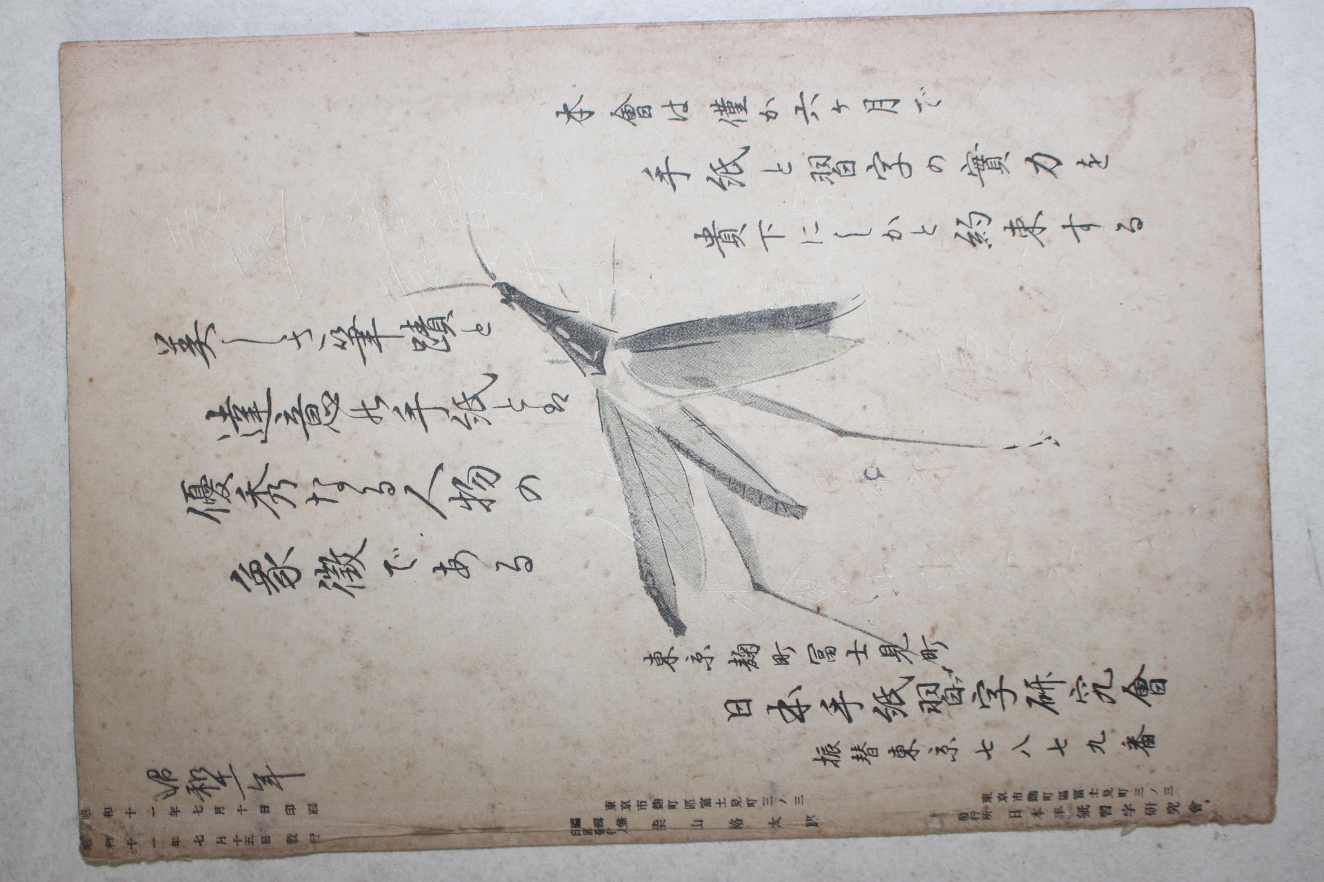 1936년(소화11년) 모직습자강좌
