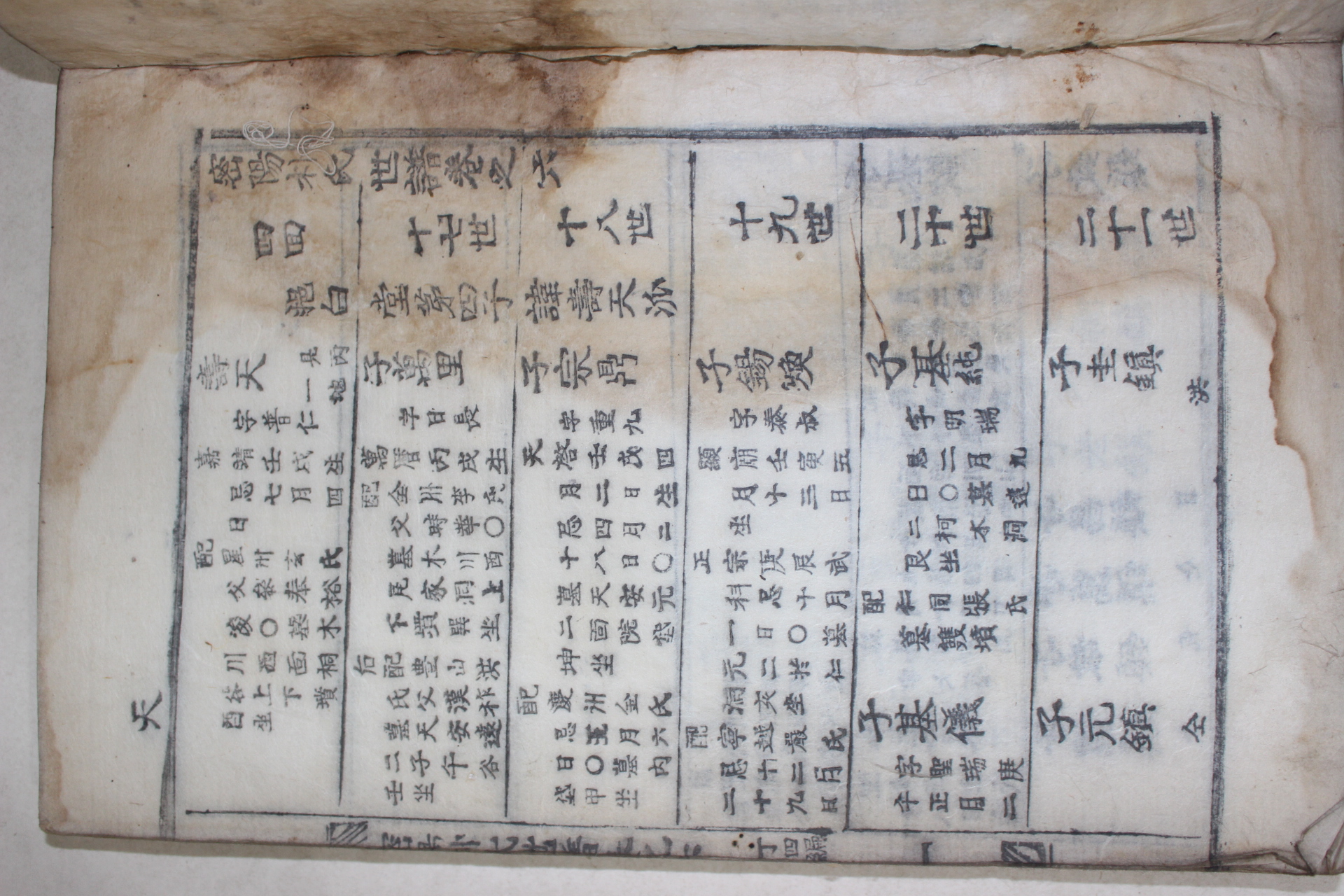1899년(숭정오기해구례연동) 목활자본 밀양박씨세보(密陽朴氏世譜) 11책