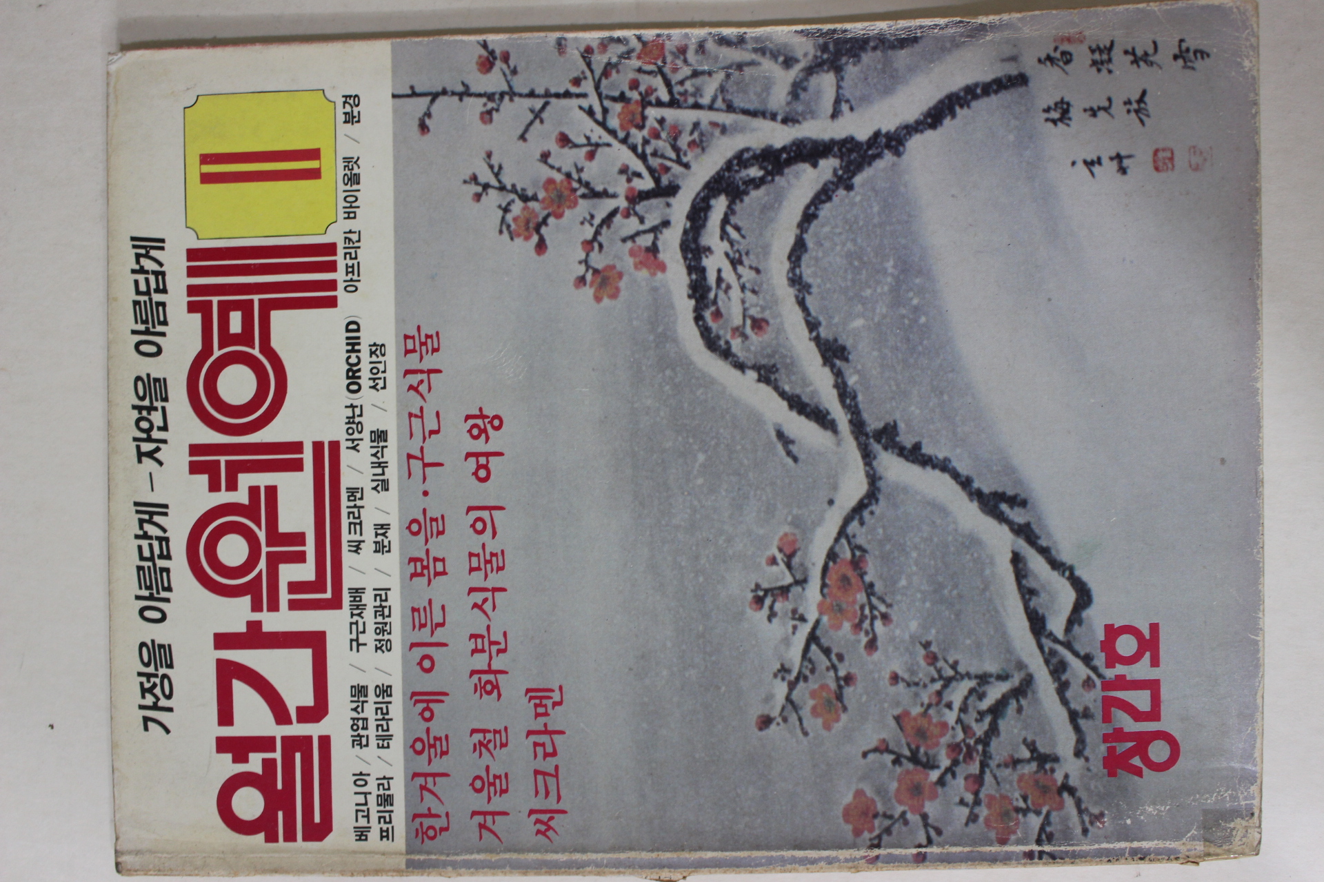 1984년 월간 원예 창간호