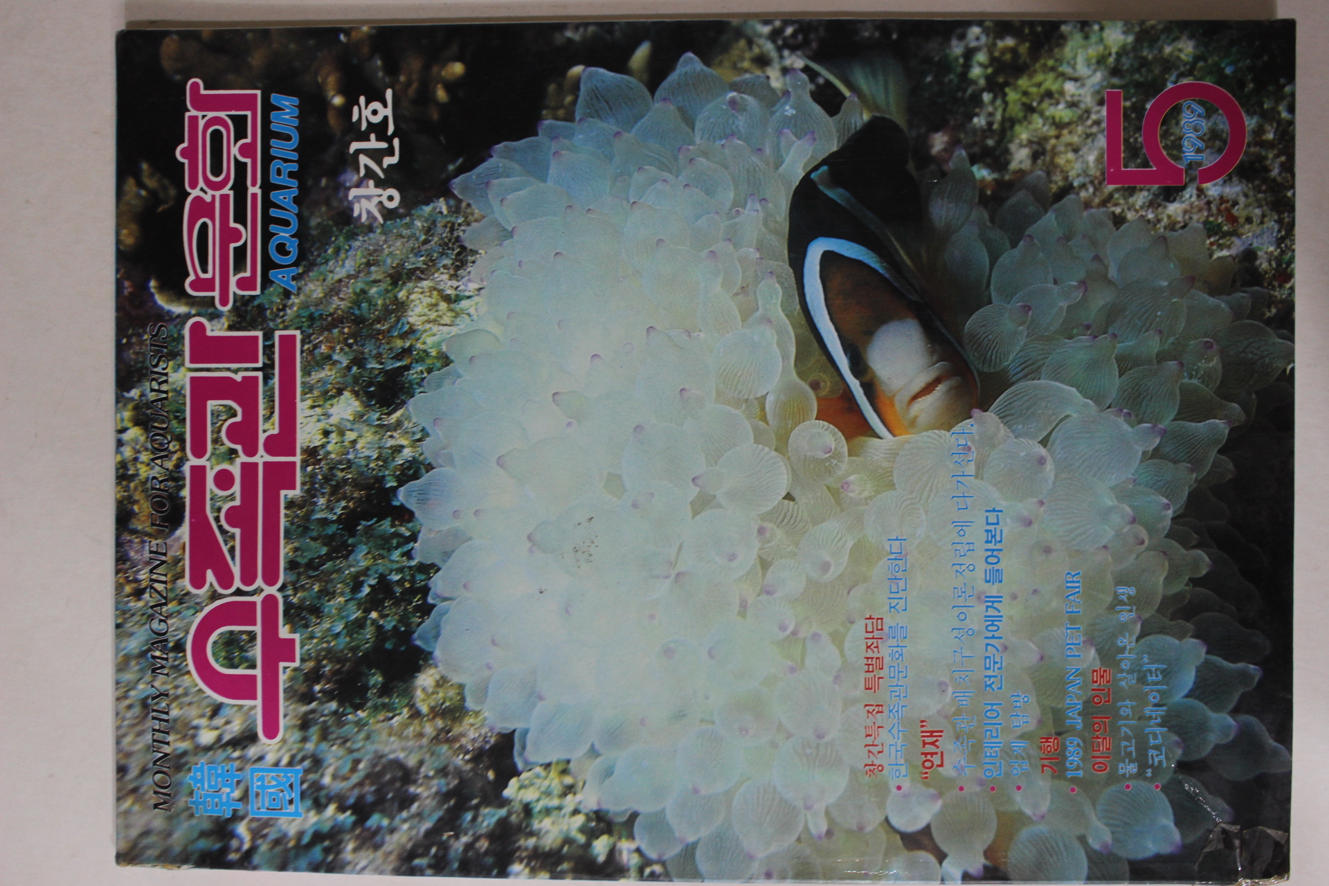 1989년 수족관문화 창간호
