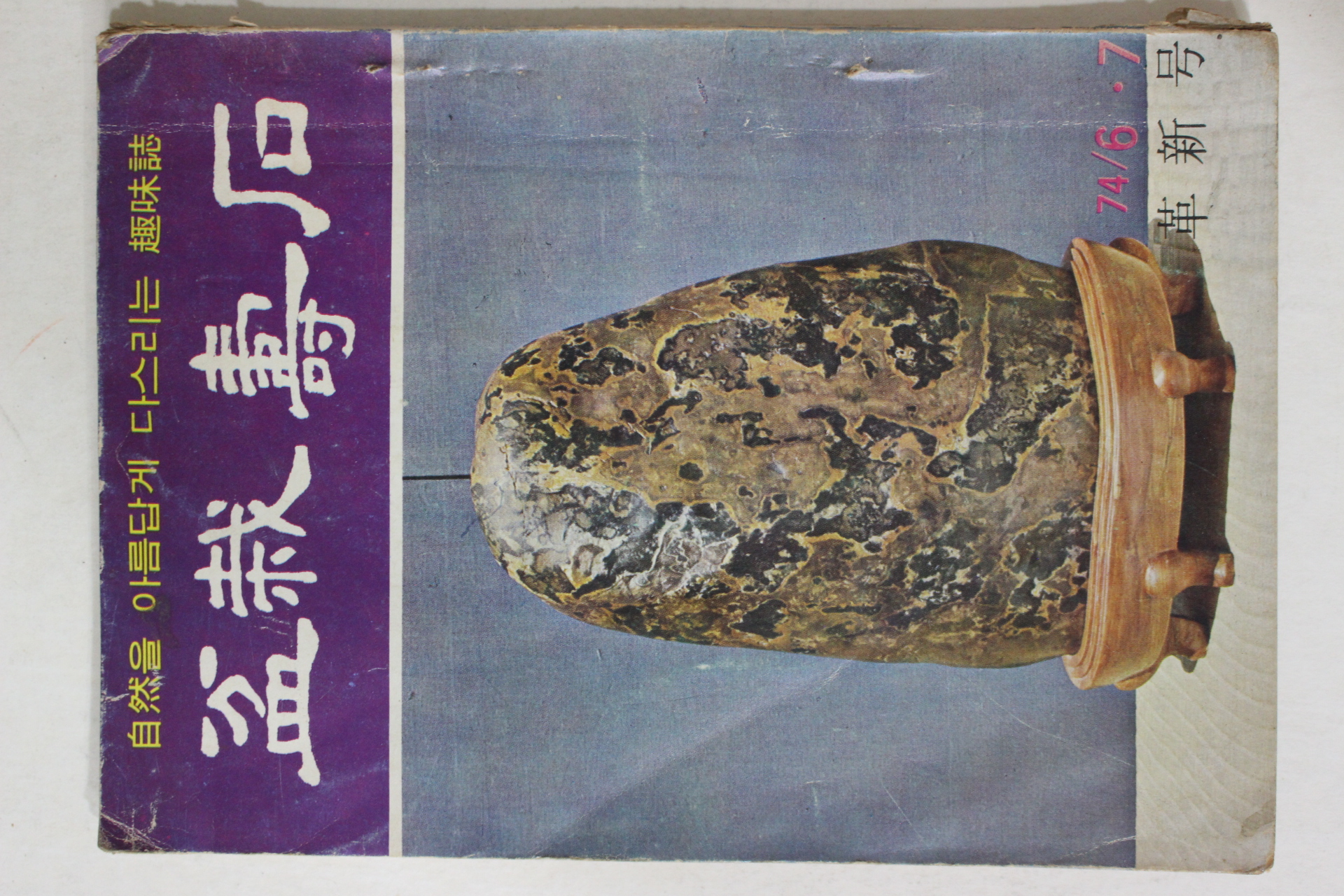 1974년 분재 수석 혁신호