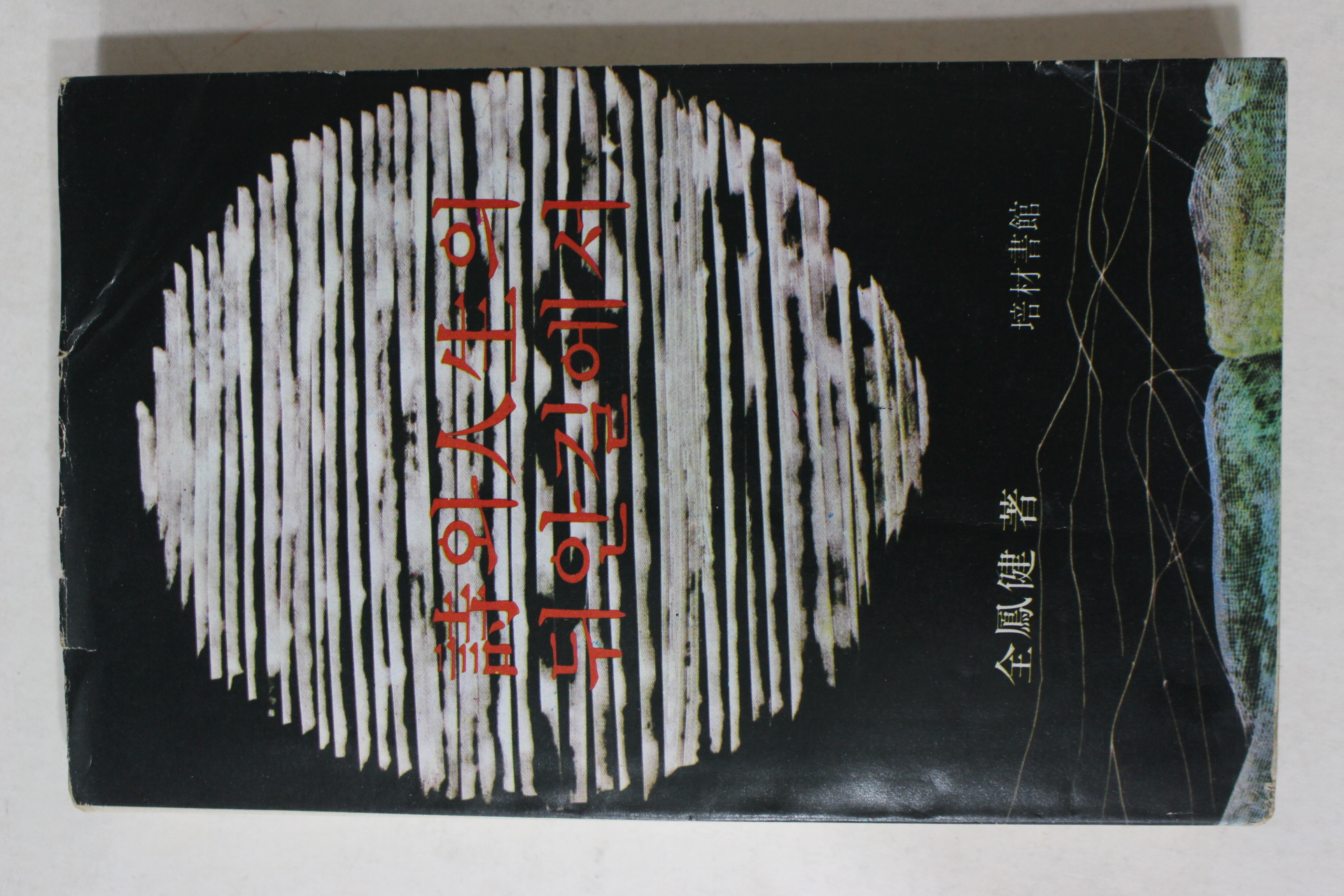 1977년 전봉건(全鳳健) 시와 인생의 뒤안길에서