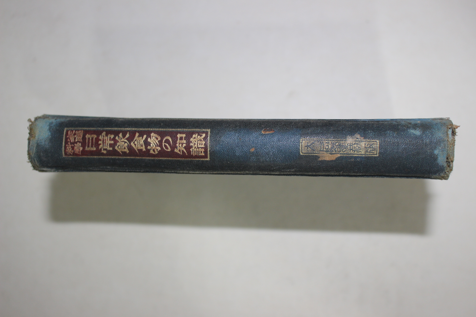 1923년(대정12년) 일본간행 가정과학 일상음식물의 지식