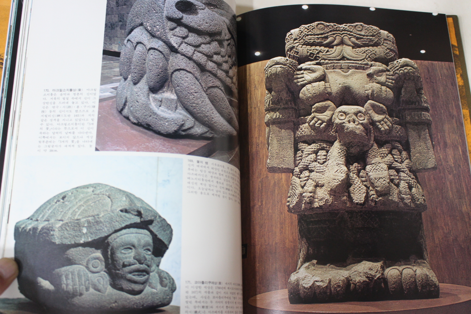 1987년 세계의 박물관 멕시코 국립인류학 박물관 도로