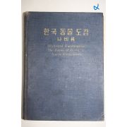 1959년(단기4292년) 한국동물도감 나비류