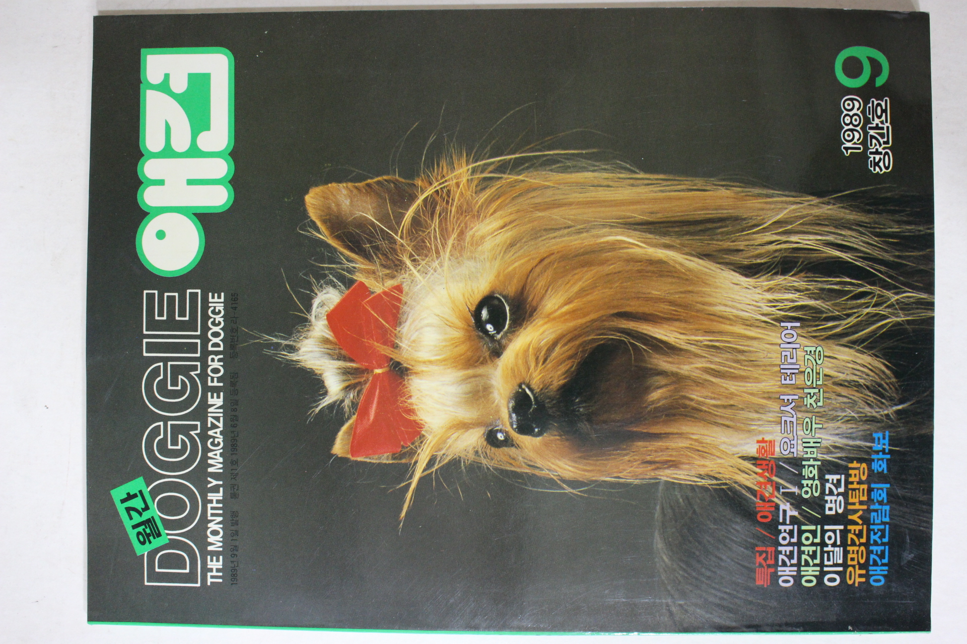 1989년 월간 애견 창간호