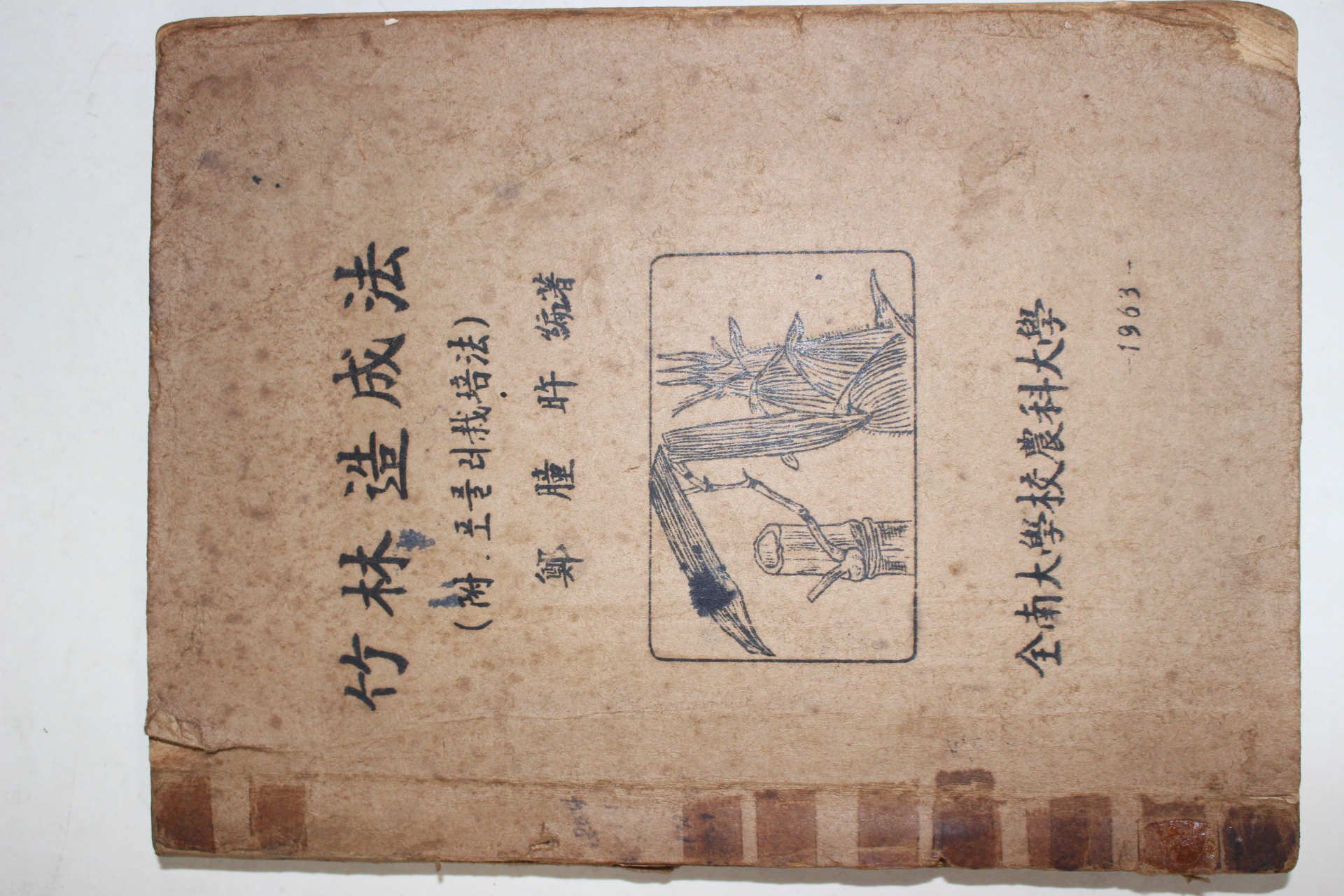 1963년 전남대학교농과대학 죽림조성법(竹林造成法)