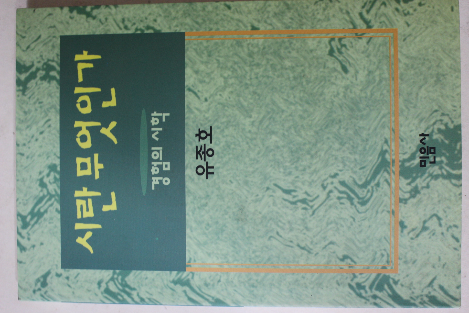 1995년초판3쇄 유종호 경험의 시학 시란 무엇인가