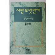 1995년초판3쇄 유종호 경험의 시학 시란 무엇인가