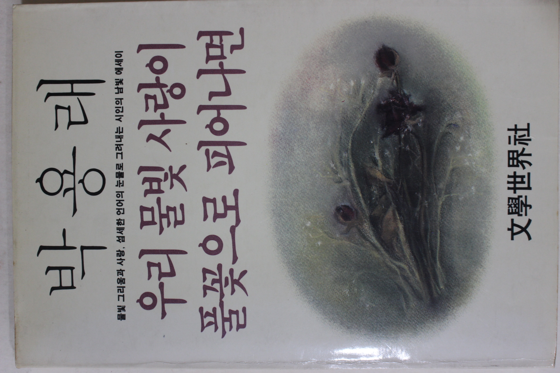 1985년초판 박용래 시집 우리 물빛 사랑이 풀꽃으로 피어나면